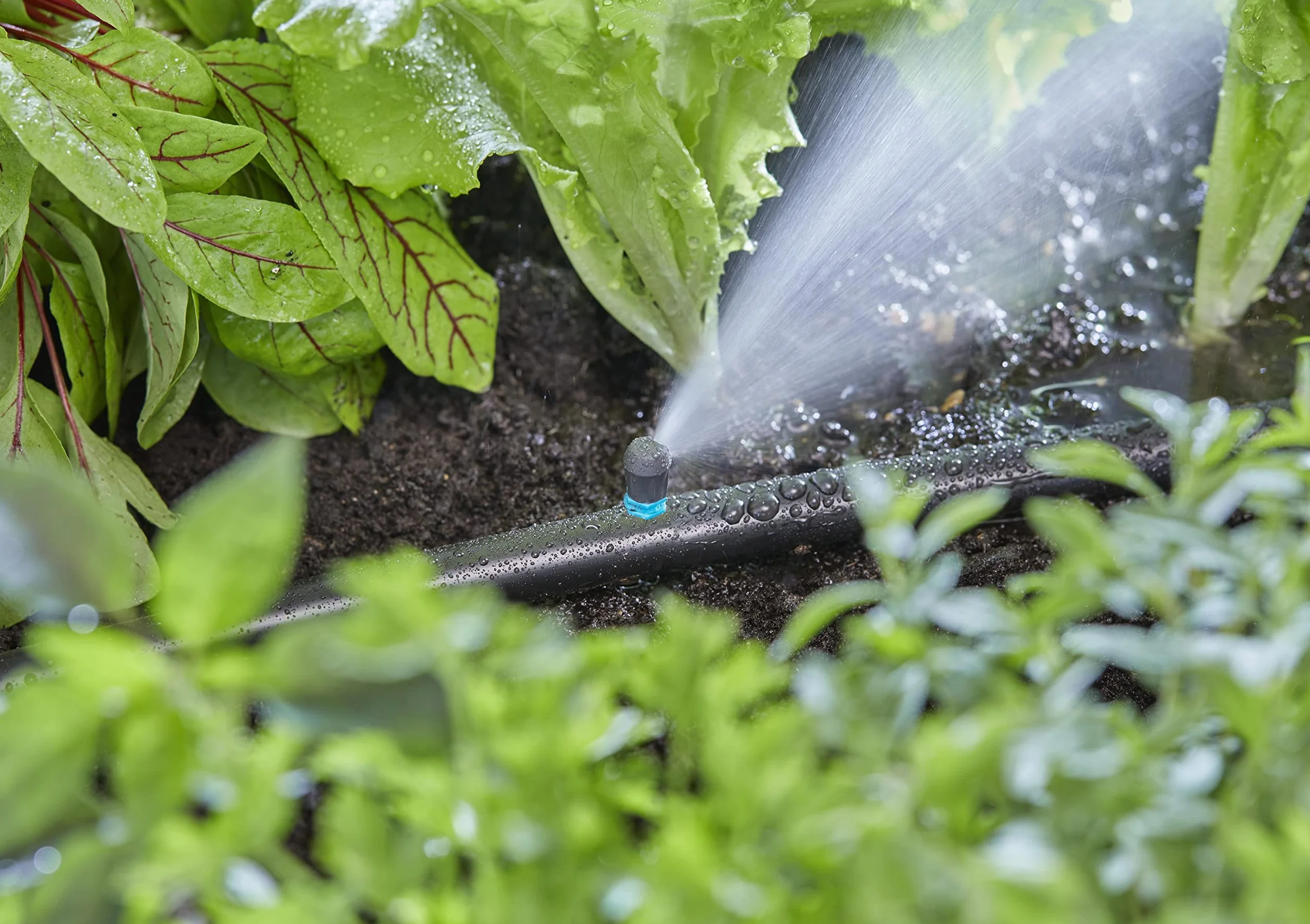 Gardena system Micro-Drip dysza końcowa pasmowa: Dysza rozpylająca do systemu nawadniania, do wąskich podłużnych powierzchni maks. 0,6 x 2,75 m, prosta technika połączeniowa (13318-20)