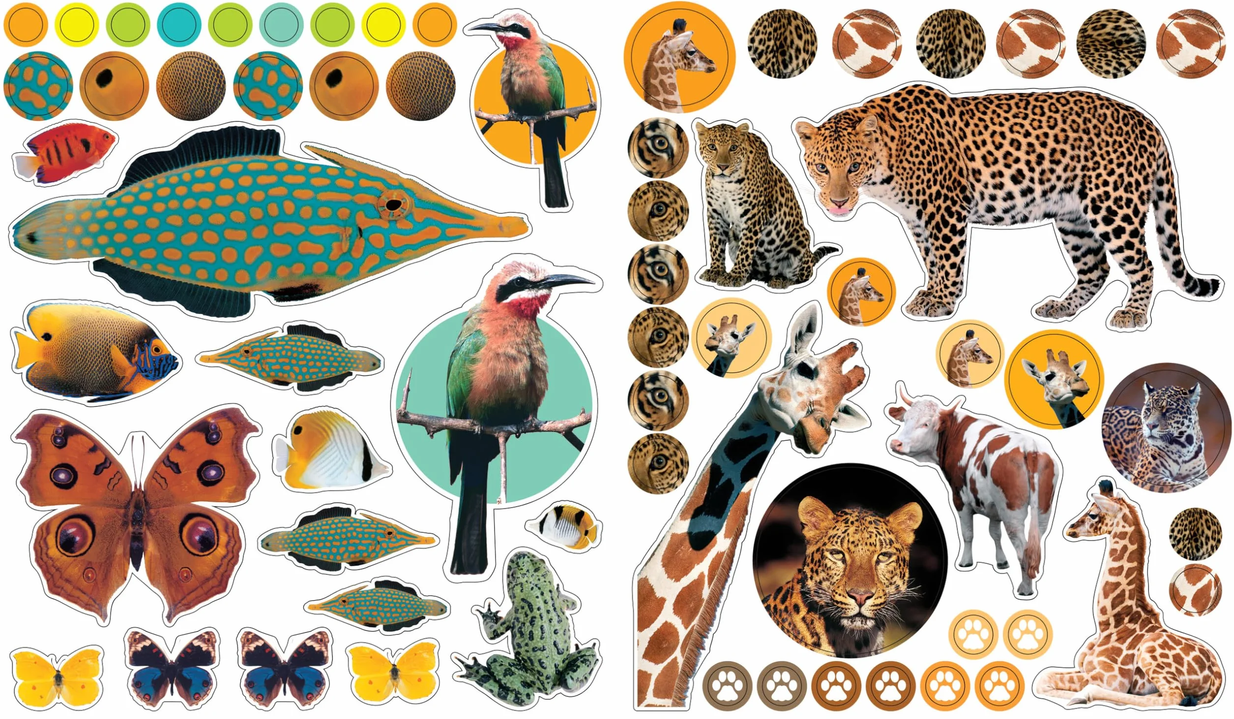 Workman Publishing Animals: 400 reusable stickers inspired by nature (Eye Like Stickers), multicolour, 1, 9780761169338