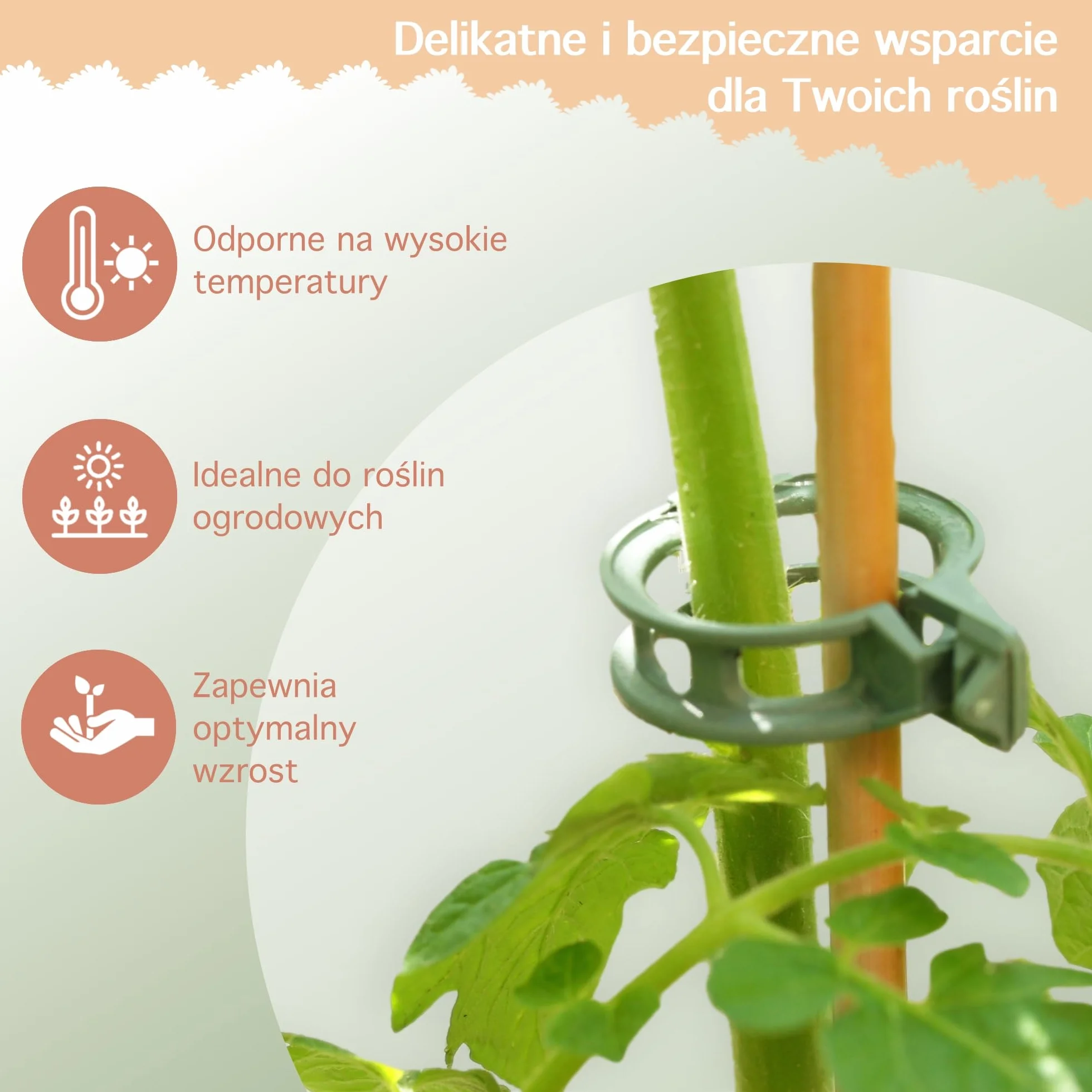 Zapinki do roślin pomidorów łodyg
