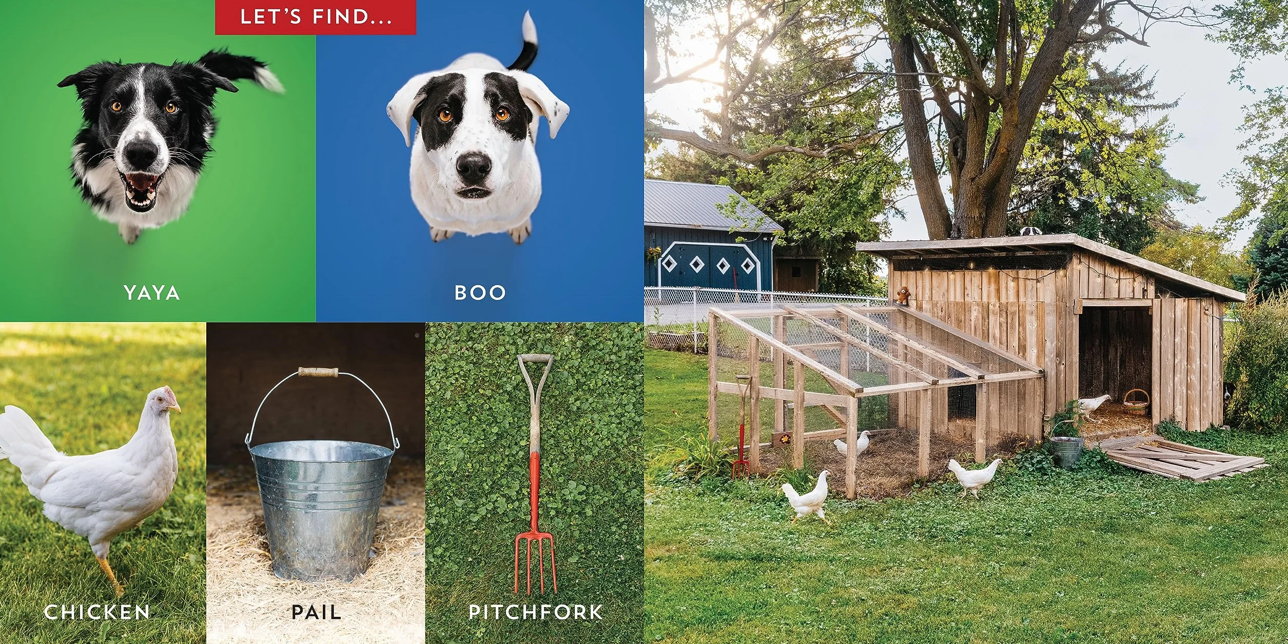 Let's Find Yaya and Boo at Home!: A Hide-and-Seek Adventure: 6