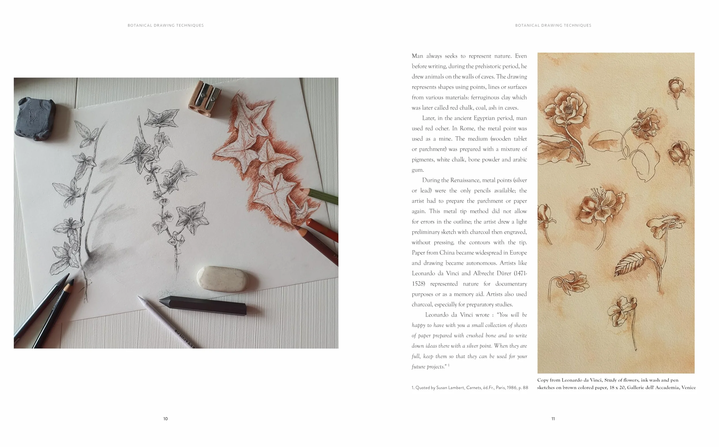 Creating Botanical Art: Learn to Draw and Paint Flowers and Plants in the Style of the Great Masters