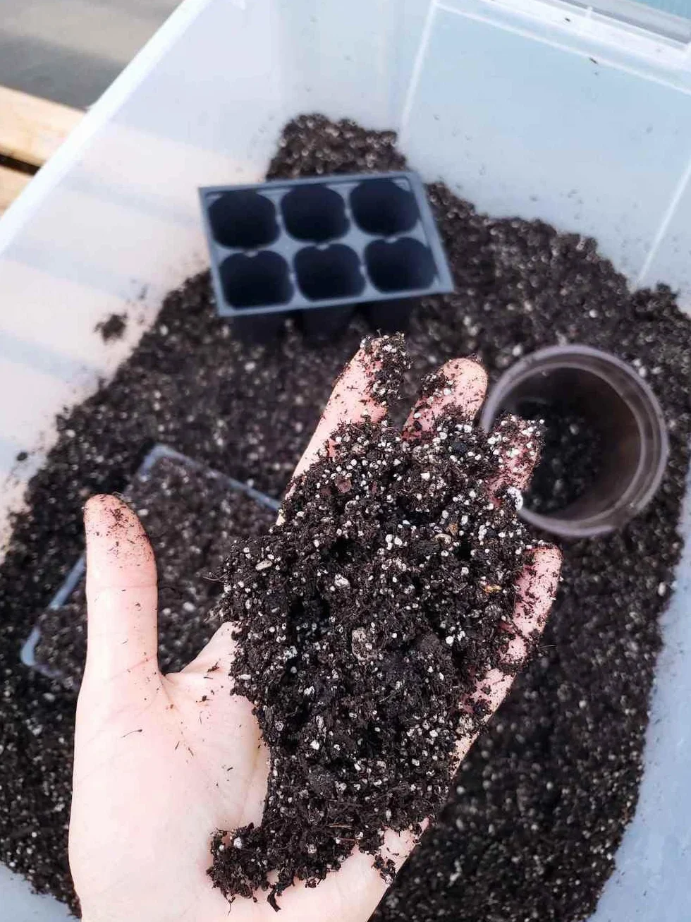 BIOVITA Do wysiewu z włóknami kokosowymi, 5 l, wieloskładnikowa ziemia do roślin, gotowa do użycia, ziemia pochodzenia naturalnego