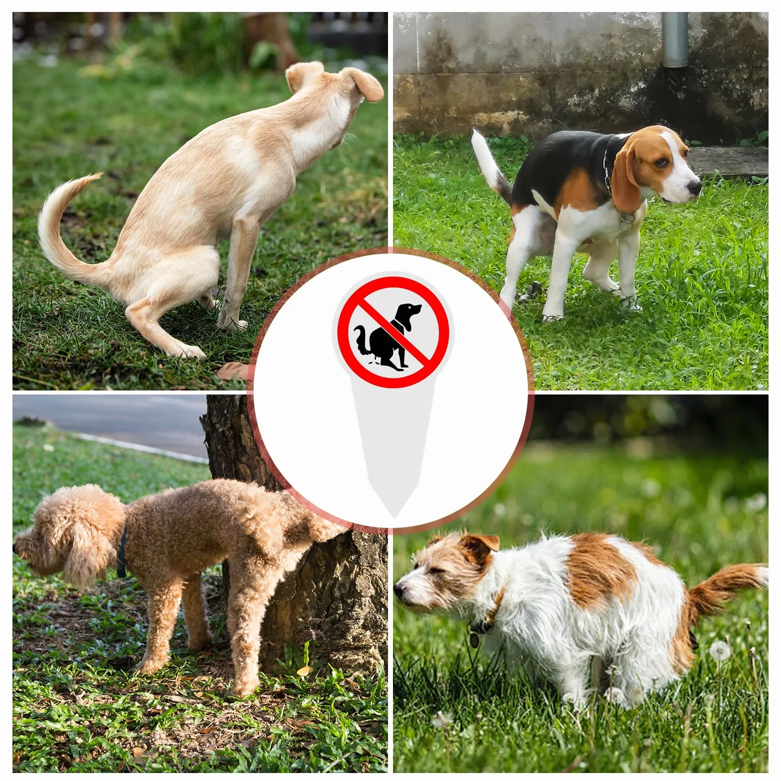 2 sztuki tabliczek wtykowych bez kupy dla psów, 30 × 15 cm tabliczka informacyjna nie ma toalety dla psa, tabliczka z PCW, kupowanie psów, zabronione do parku na podwórku