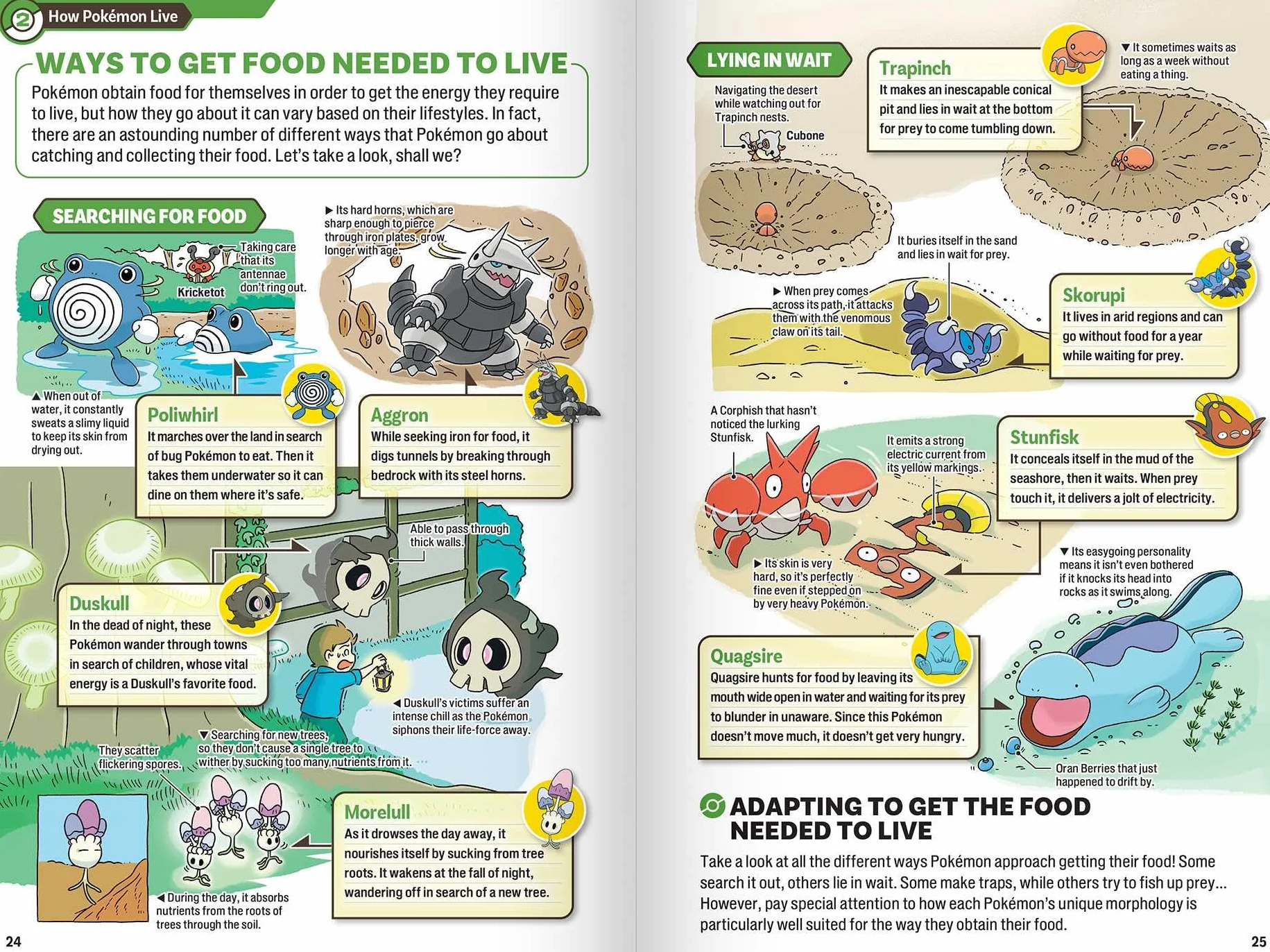 Pokécology An Illustrated Guide to Pokémon Ecology