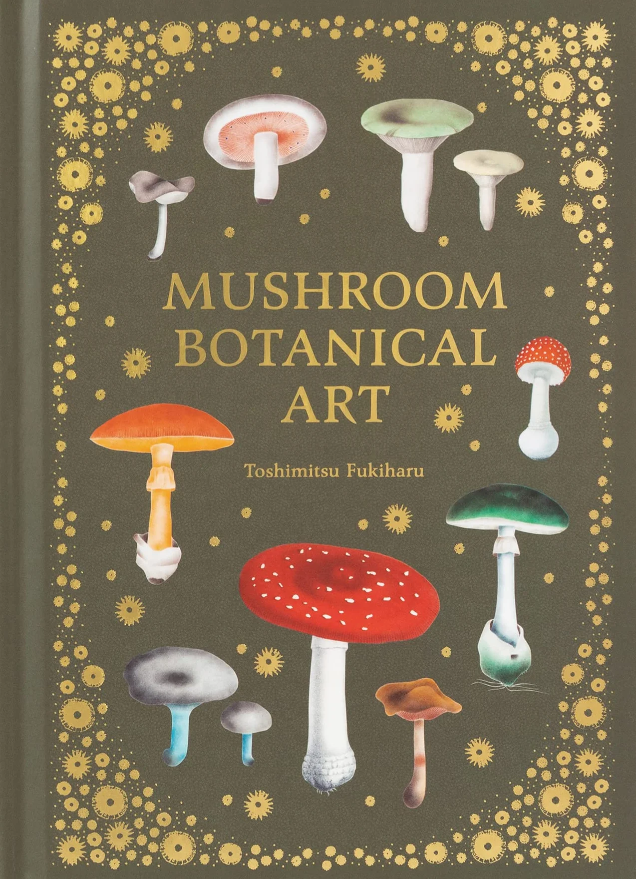 Mushroom Botanical Art /anglais