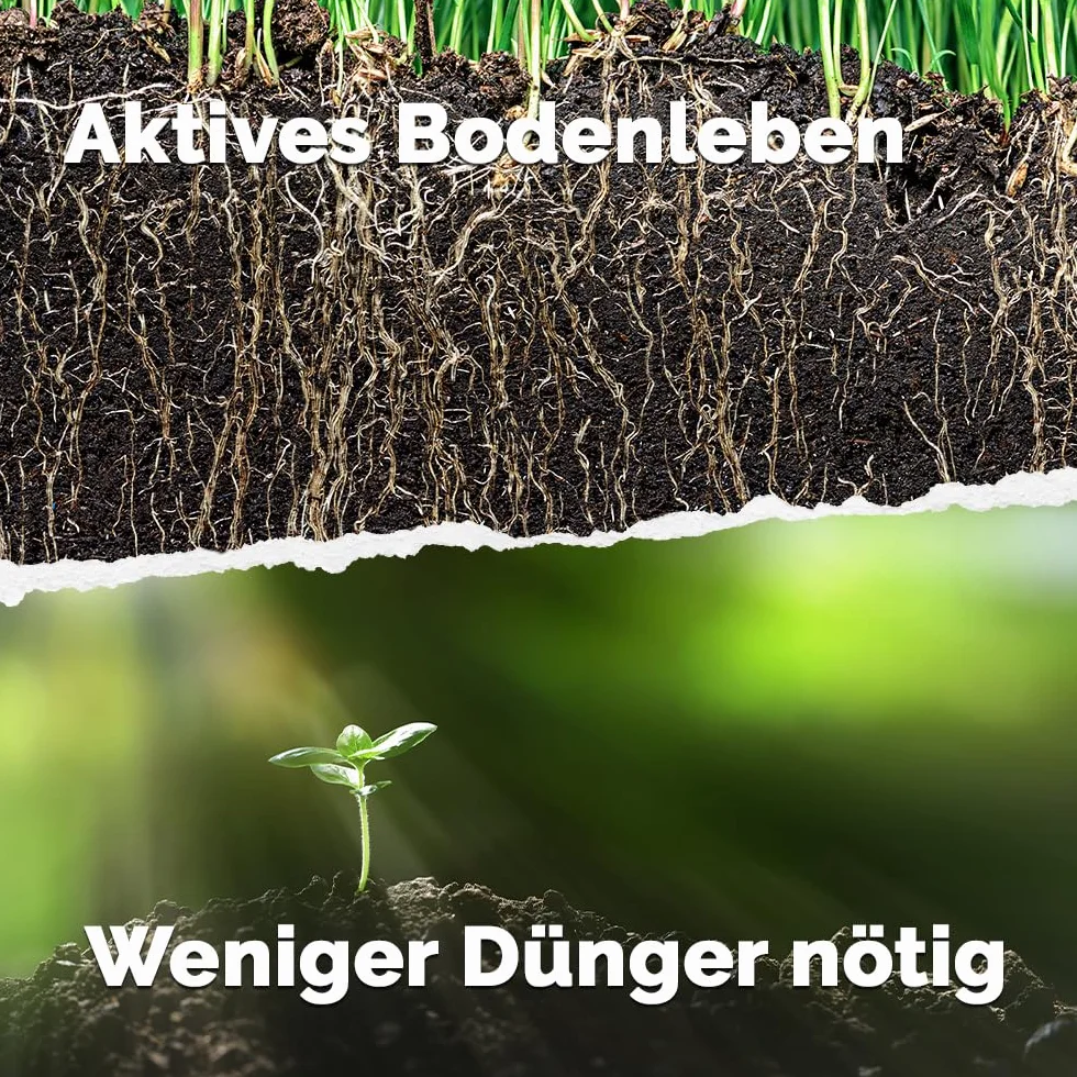 DIMIKRO Węgiel roślinny, 5 l, węgiel aktywny, drobno zmielony, aktywator gleby dla roślin ze skutecznymi mikroorganizmami, do terra Preta czarnoziem, jako starter kompostowy i polepszacz gleby
