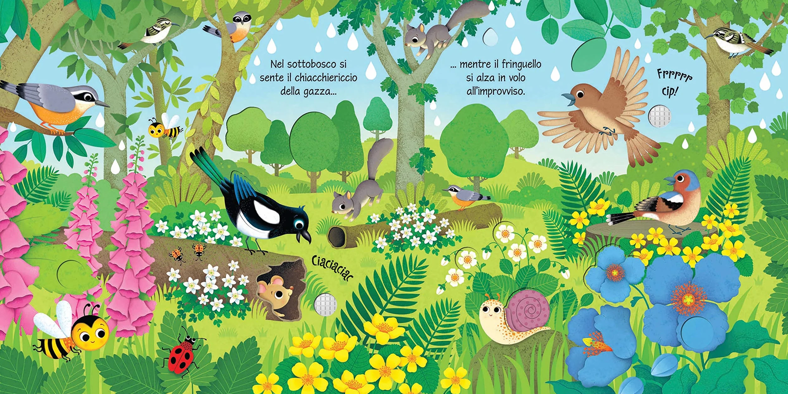 Bird Sounds (Usborne Sound Books): 1