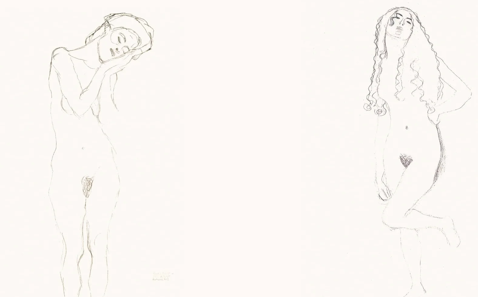 Gustav Klimt: Erotic Sketchbook