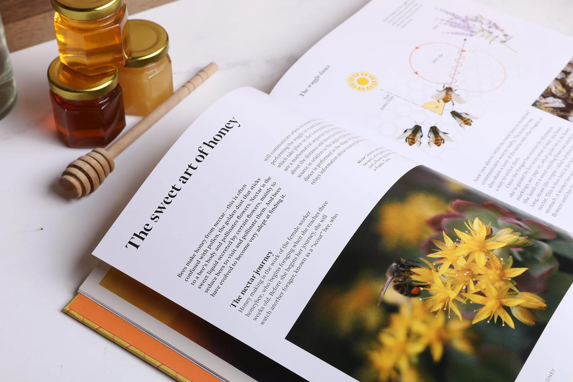 The World Atlas of Honey