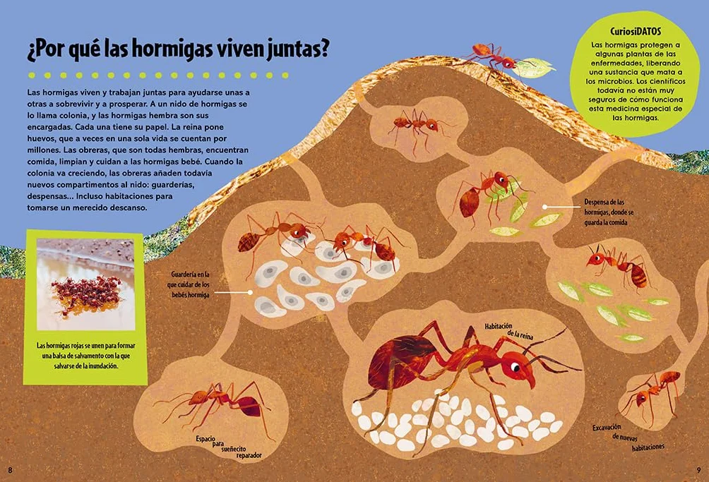 El Gran Libro de Los Grandes Porqués / Britannica's First Big Book of Why: El libro de preguntas y respuestas definitivo para resolver todos los porqués