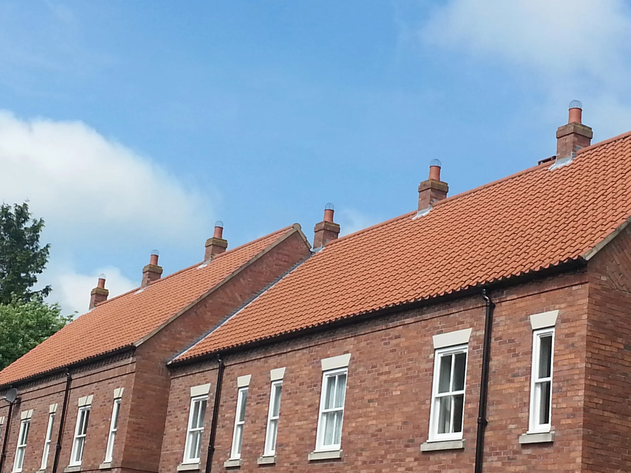 Osłona przed ptakami na komin Stal nierdzewna 150-190mm