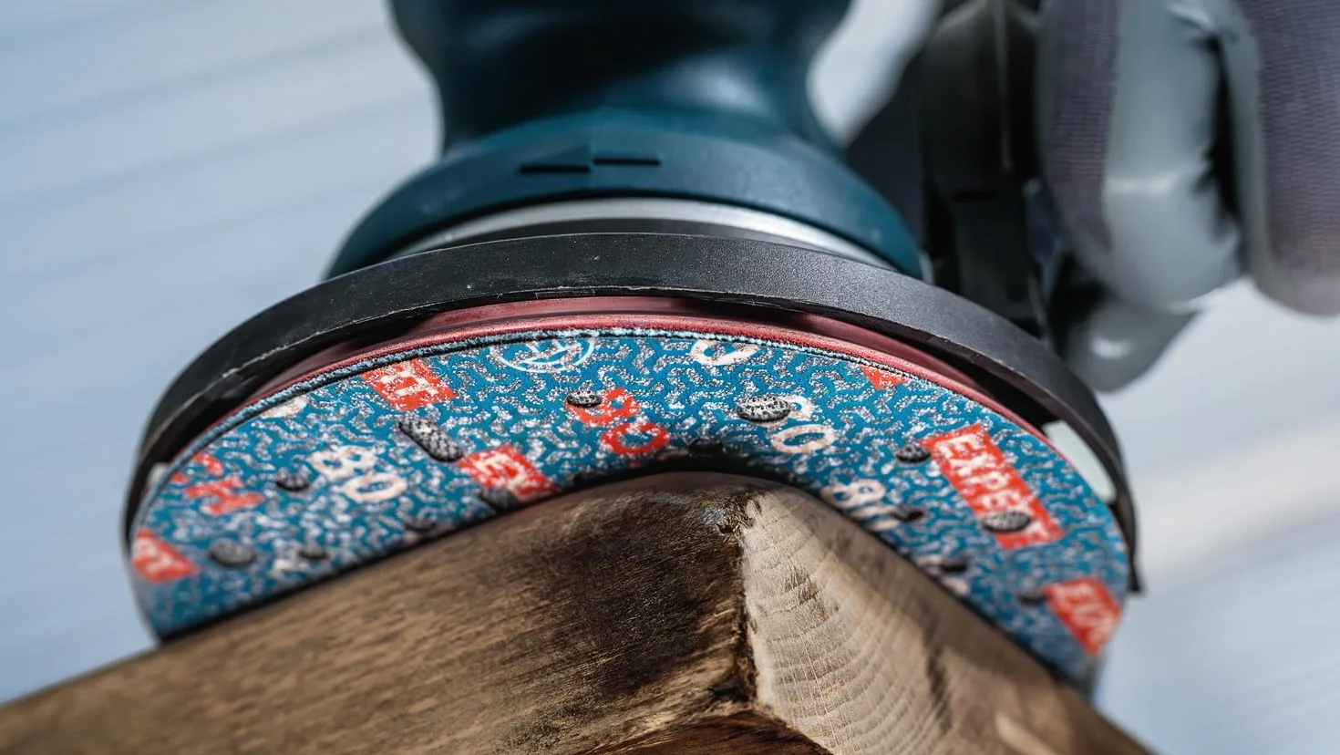 Bosch 1 x EXPERT O780 tarcza szlifierska do folii, 125 mm (do twardego drewna, farba na drewnie, Ø 125 mm, ziarnistość 80, profesjonalne akcesoria szlifierka mimośrodowa)