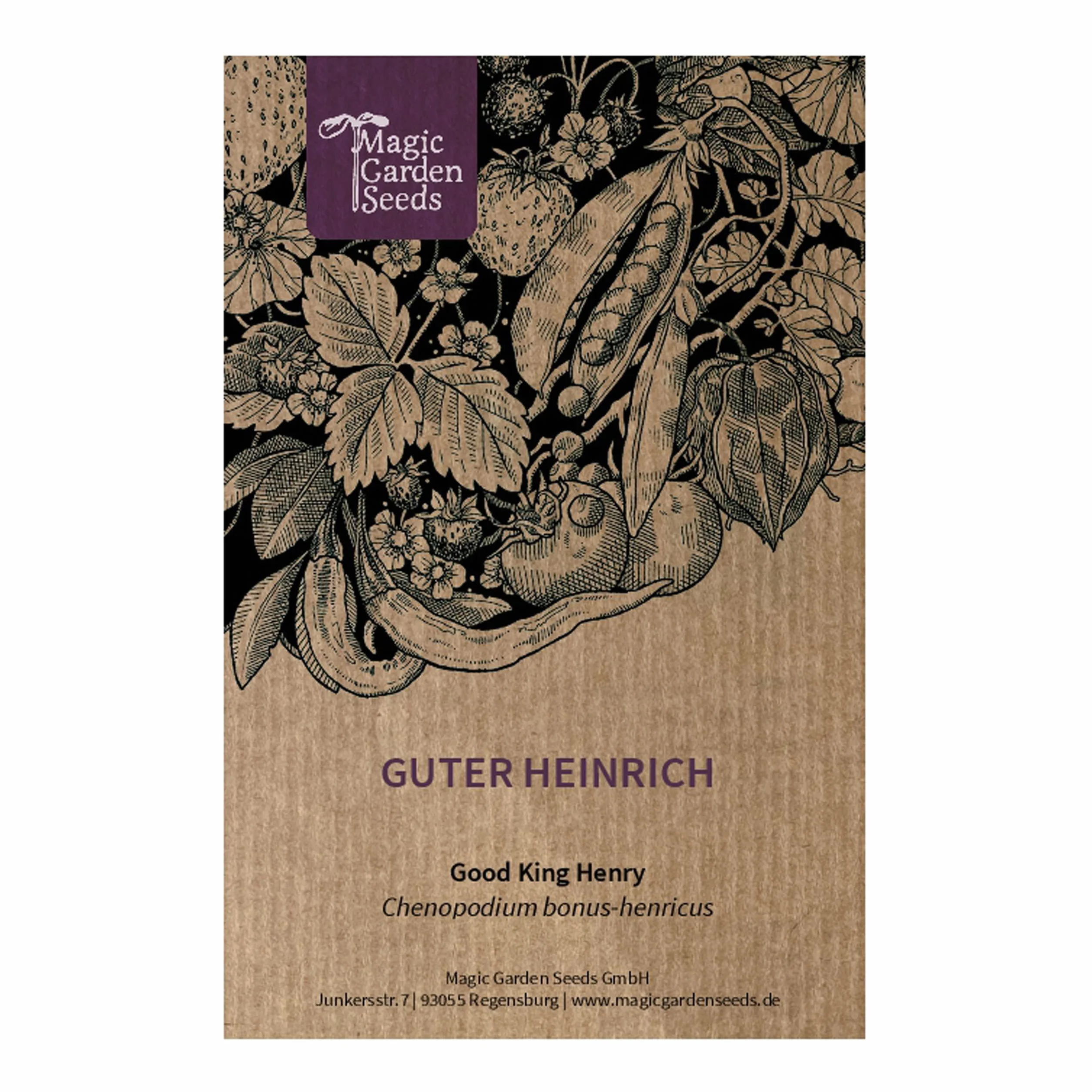 Good Henry (Chenopodium bonus-henricus) 200 nasion Dziki szpinak