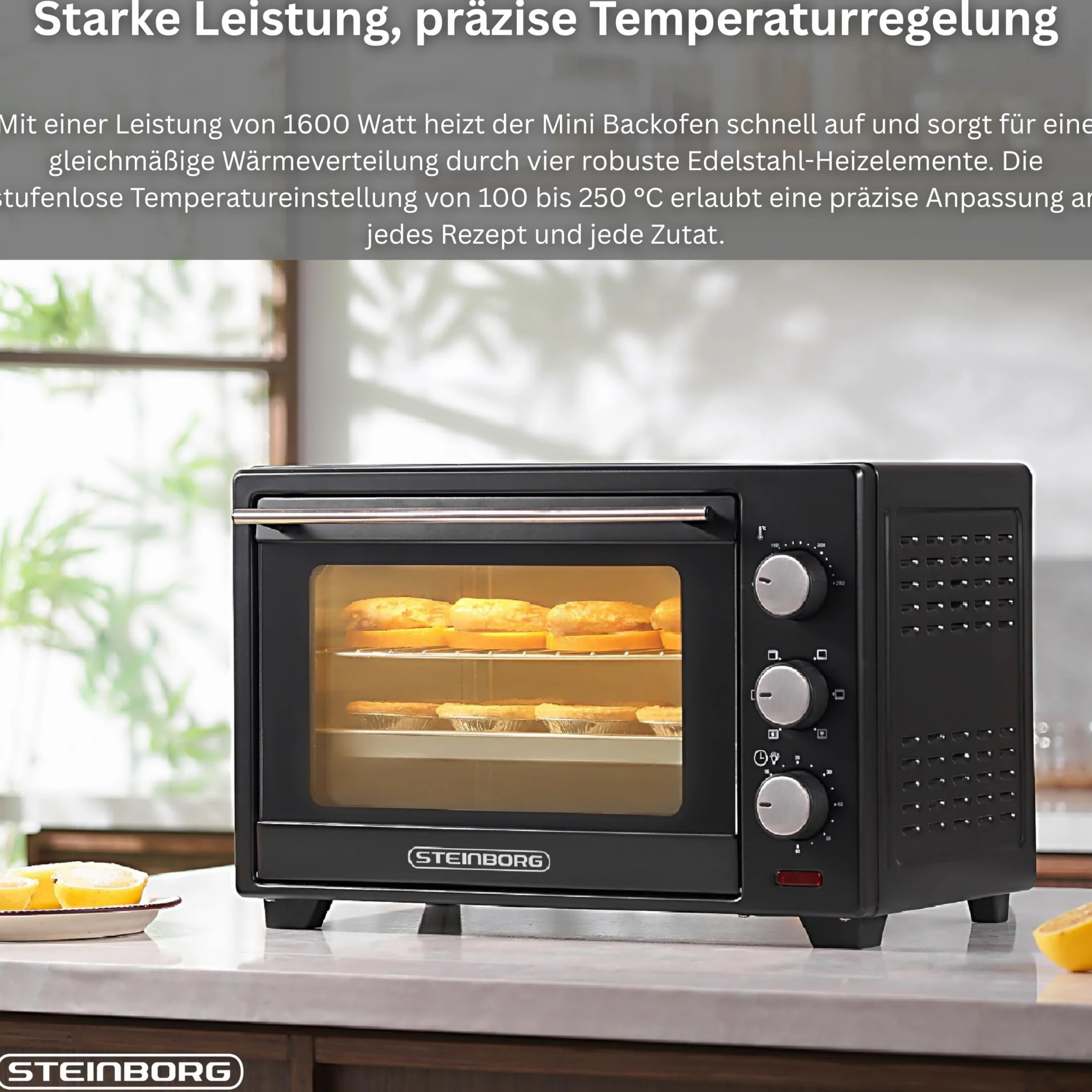 Steinborg mini piekarnik z termoobiegiem 1600 W 25 litrów piec do pizzy