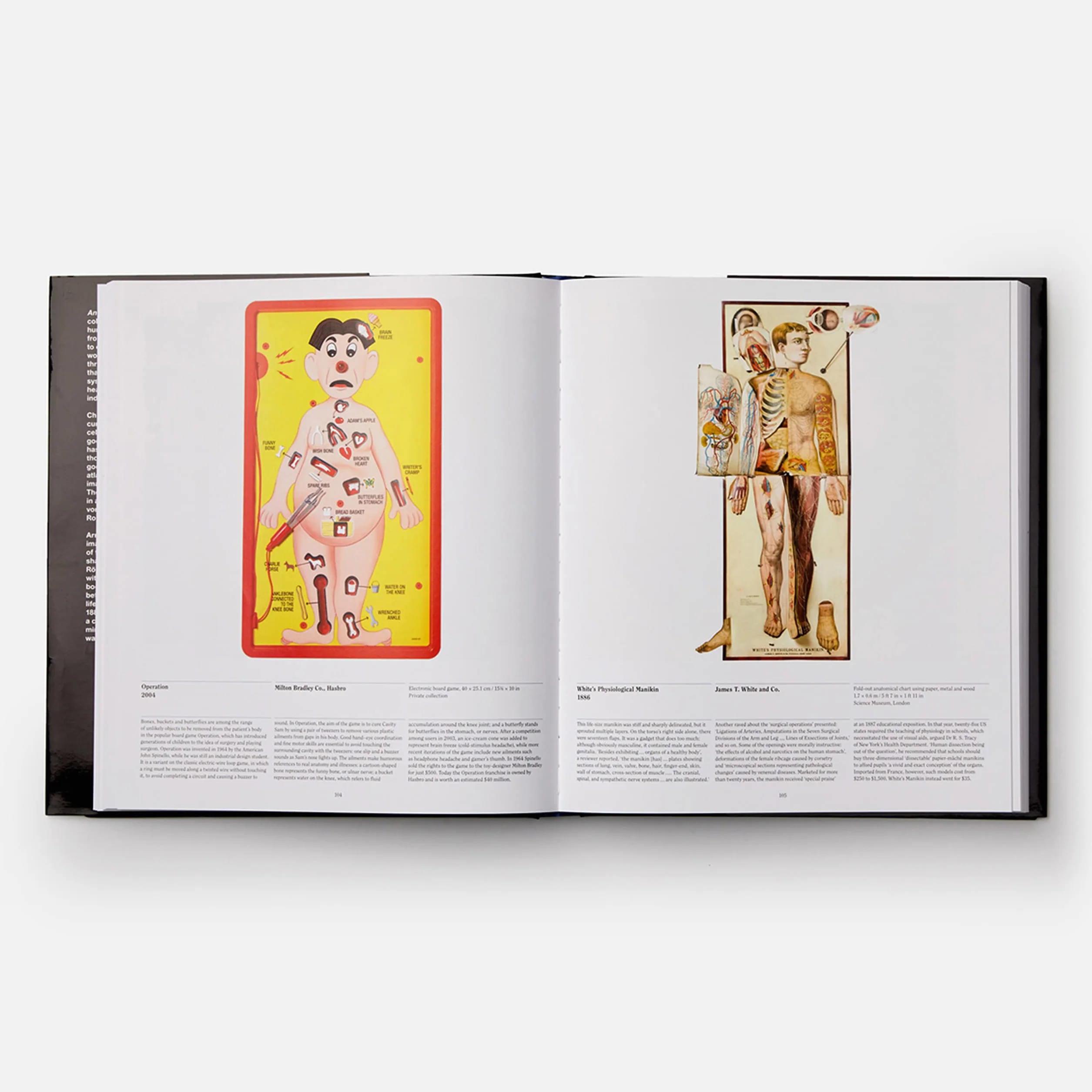 Anatomy: Exploring the Human Body