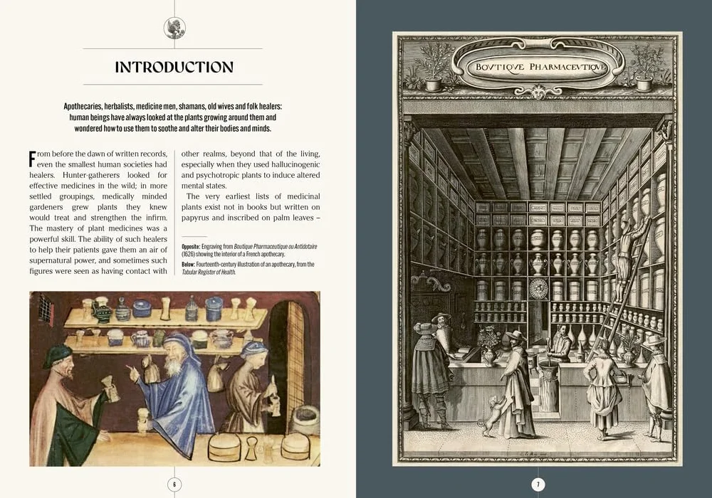 Kew: The Apothecary's Garden: The Science and Mythology of Medicinal Plants
