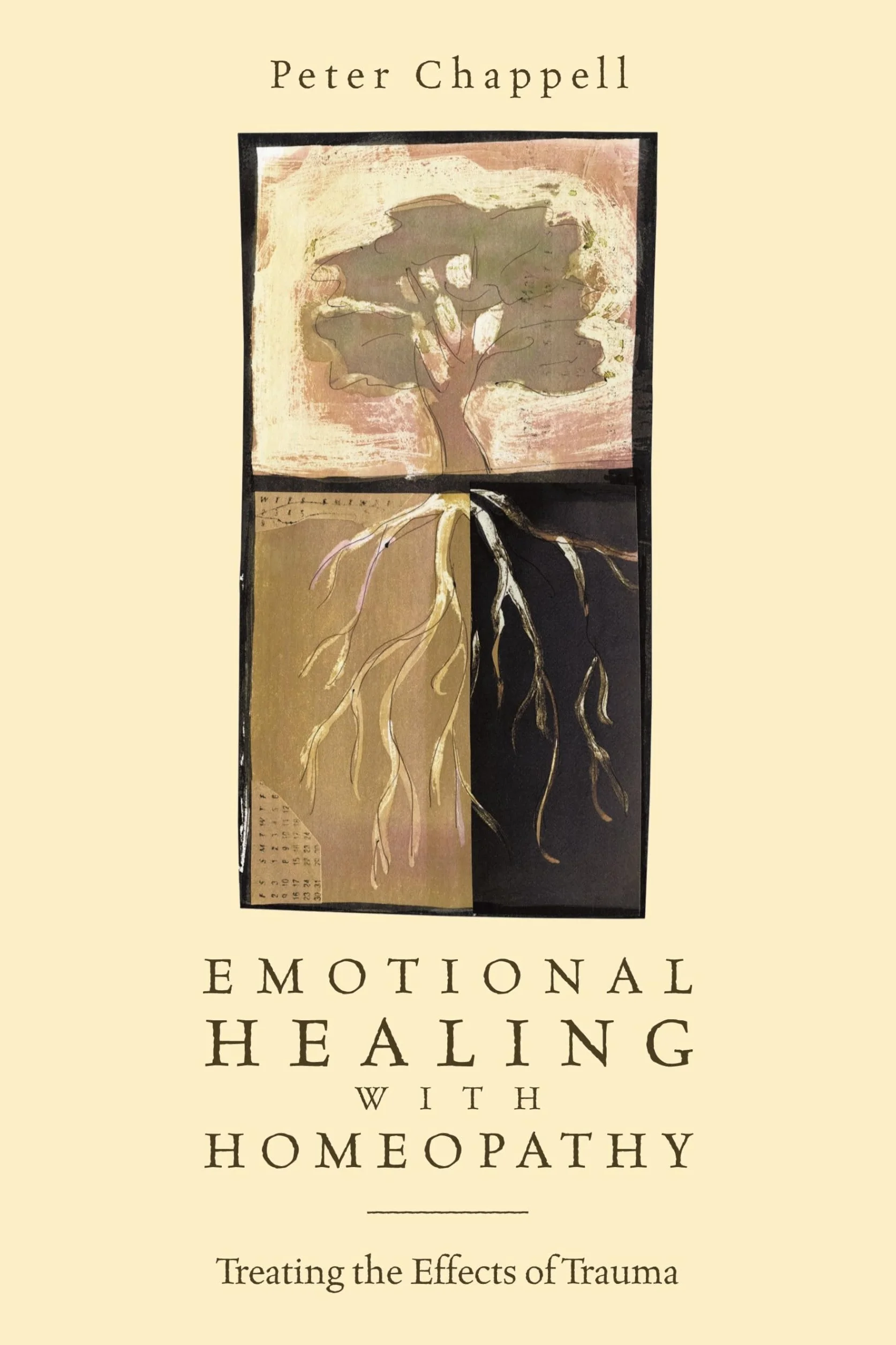Emotional Healing with Homeopathy: Treating the Effects of Trauma