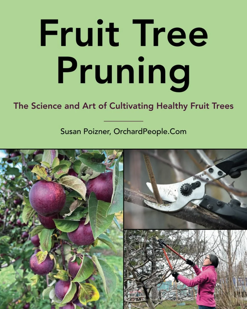 Fruit Tree Pruning: The Science and Art of Cultivating Healthy Fruit Trees
