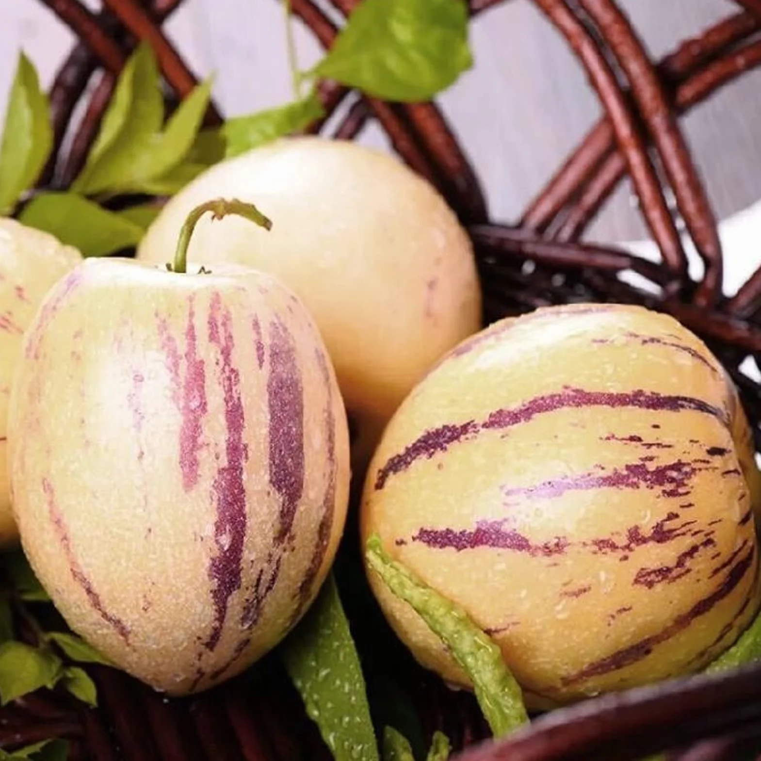 Generic Nasiona Melona Pepino, 30 Sztuk/worek Nasiona Melona Pepino Non Gmo Łatwa Pielęgnacja Pożywne Muricatum Aiton Nasiona Żeń-szeń Nasiona Owoców do Ogrodu Nasiona melona pepino