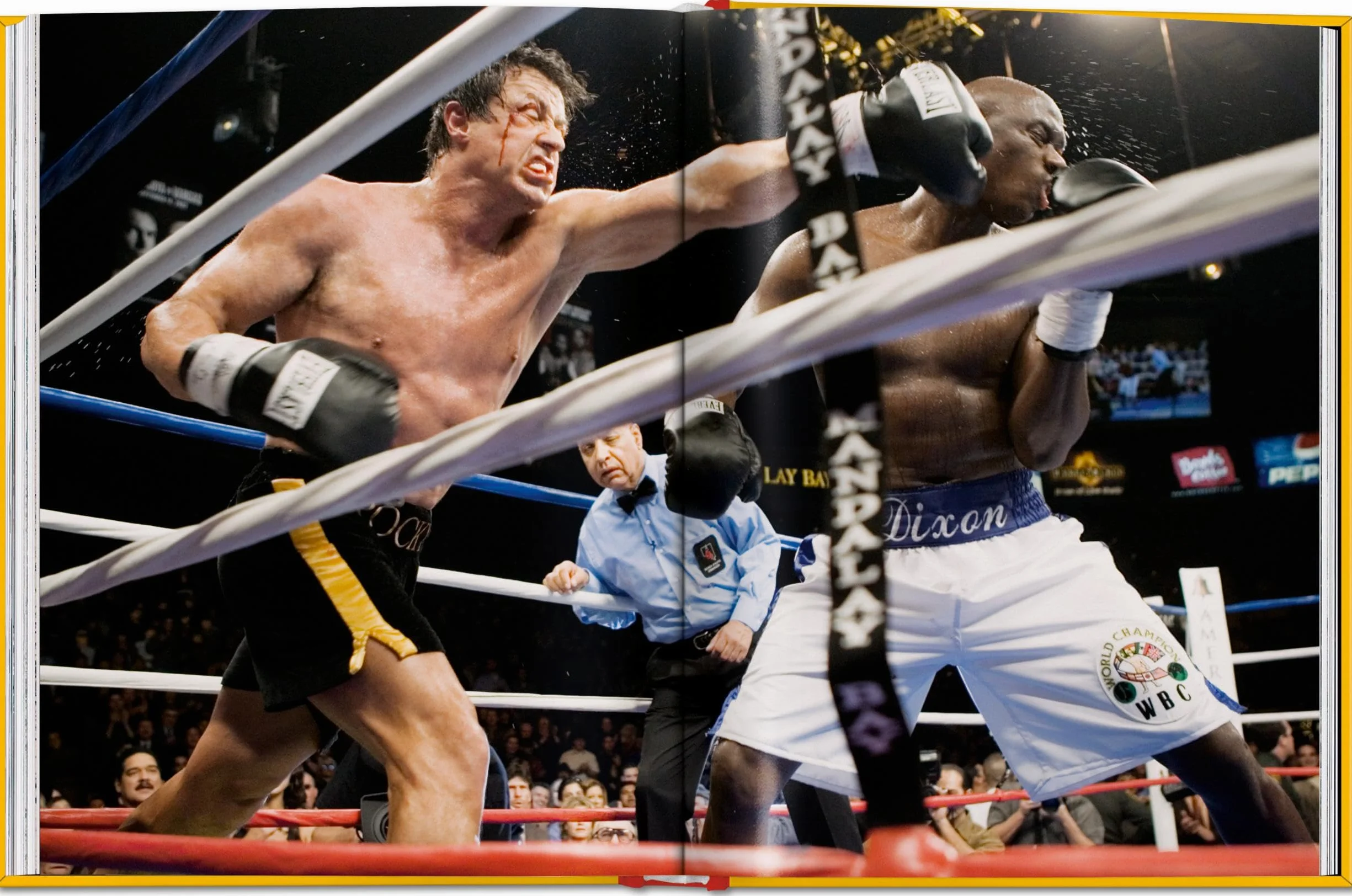 Rocky: The Complete Films