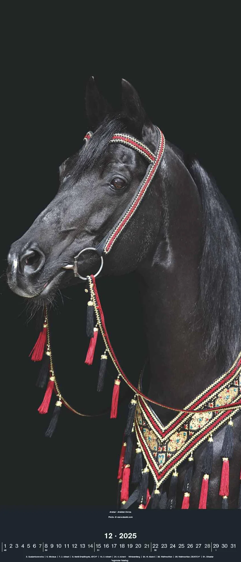 N NEUMANNVERLAGE - Beautiful Horses 2025 Wandkalender, 30x70cm, Kalender mit zwölf grandiosen Pferdeportraits, außergewöhnliche Aufnahmen, Spiralbindung und internationales Kalendarium