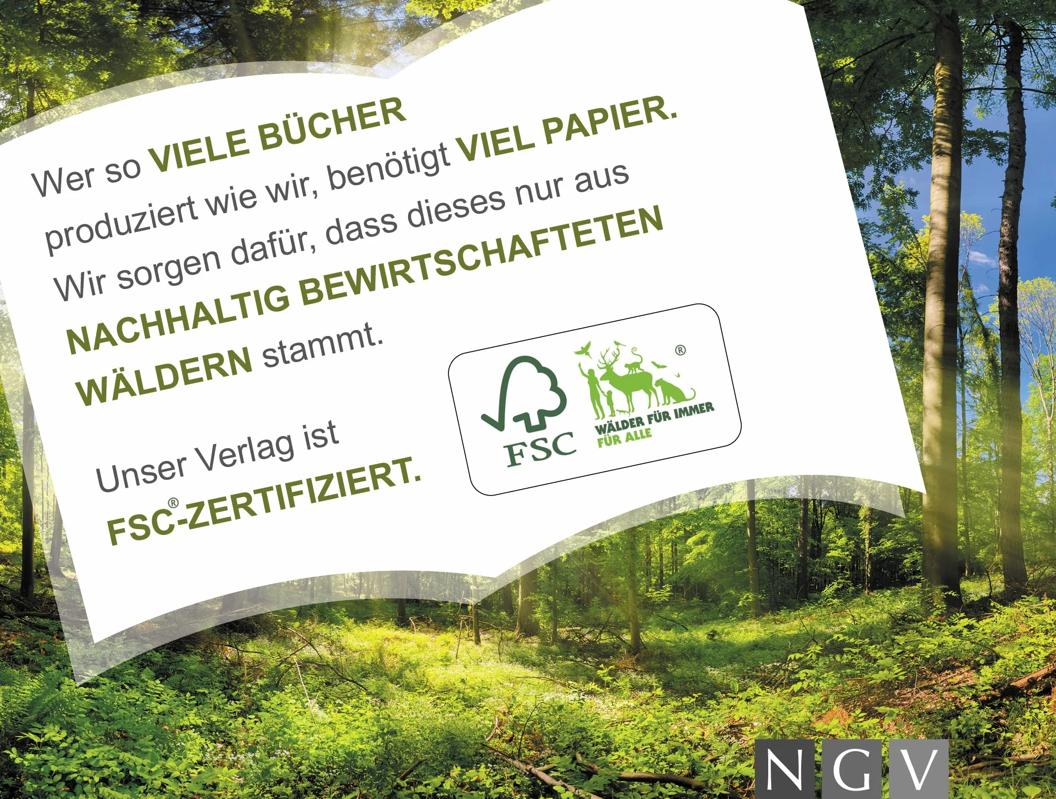 Tolle Schnitzereien I Schnitzbuch für Kinder ab 8 Jahren: 16 kreative Projekte. Mit kleiner Schnitzschule und Schritt-für-Schritt-Anleitungen