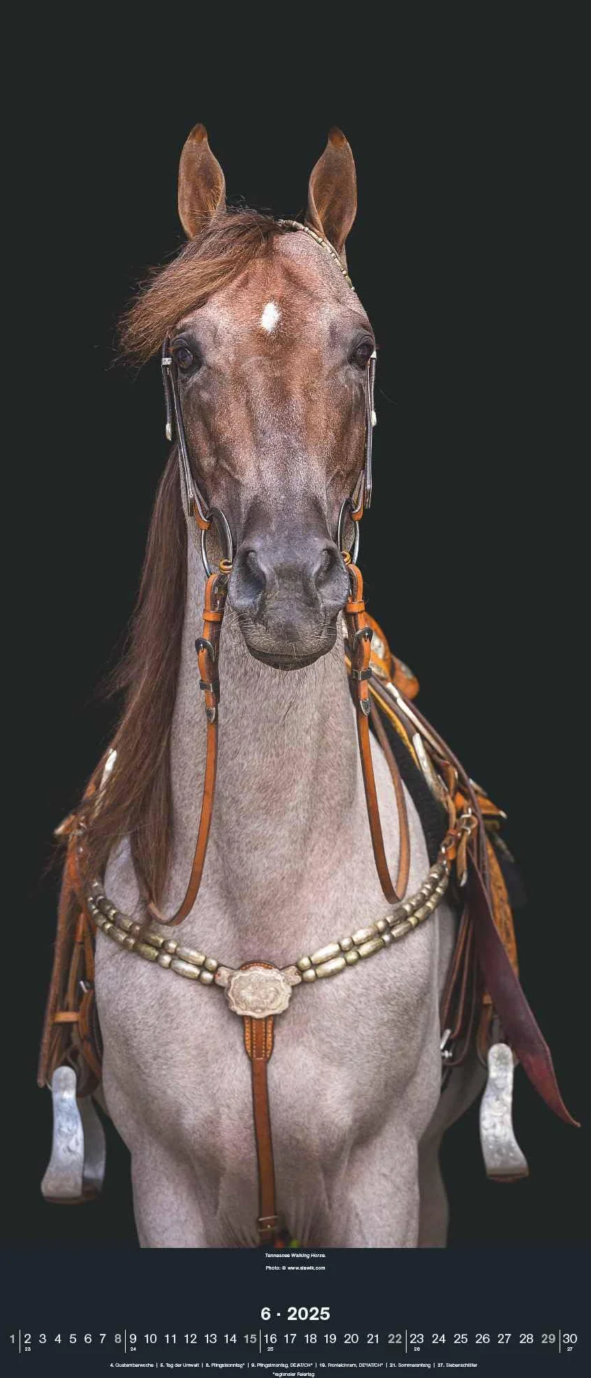 N NEUMANNVERLAGE - Beautiful Horses 2025 Wandkalender, 30x70cm, Kalender mit zwölf grandiosen Pferdeportraits, außergewöhnliche Aufnahmen, Spiralbindung und internationales Kalendarium