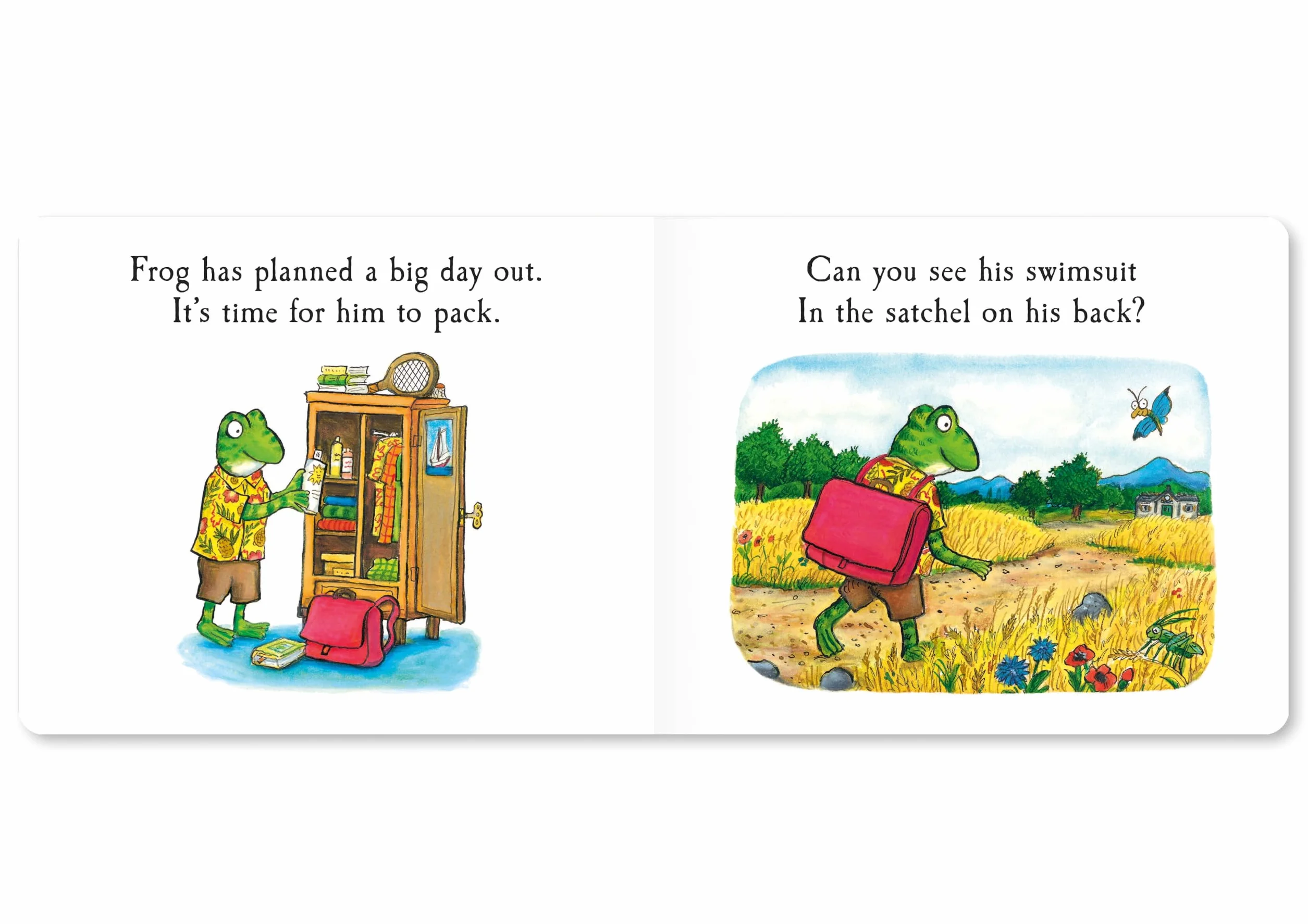 Frog's Day Out: A Lift-the-flap Story (10)