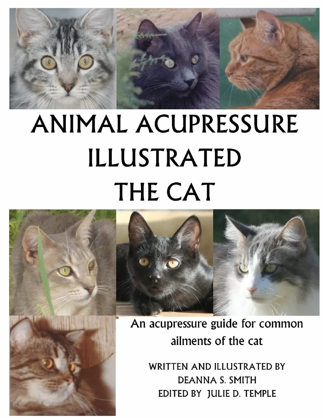 Animal Acupressure Illustrated The Cat