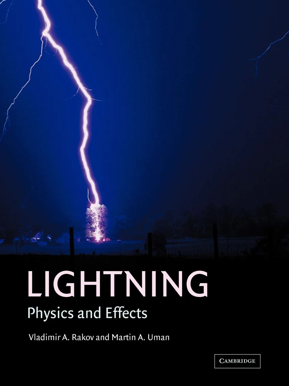Lightning: Physics and Effects