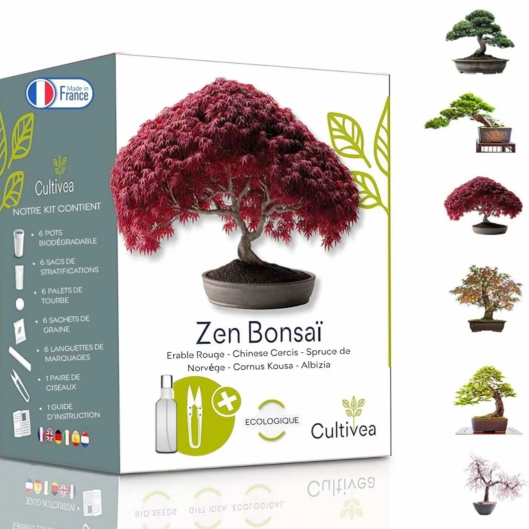 Cultivea Mini zestaw bonsai gotowy do uprawy - ogród i dekoracja - pomysł na prezent (czerwony klon, chiński Cercis, Juniperus, Liquidambar, świerk pospolity