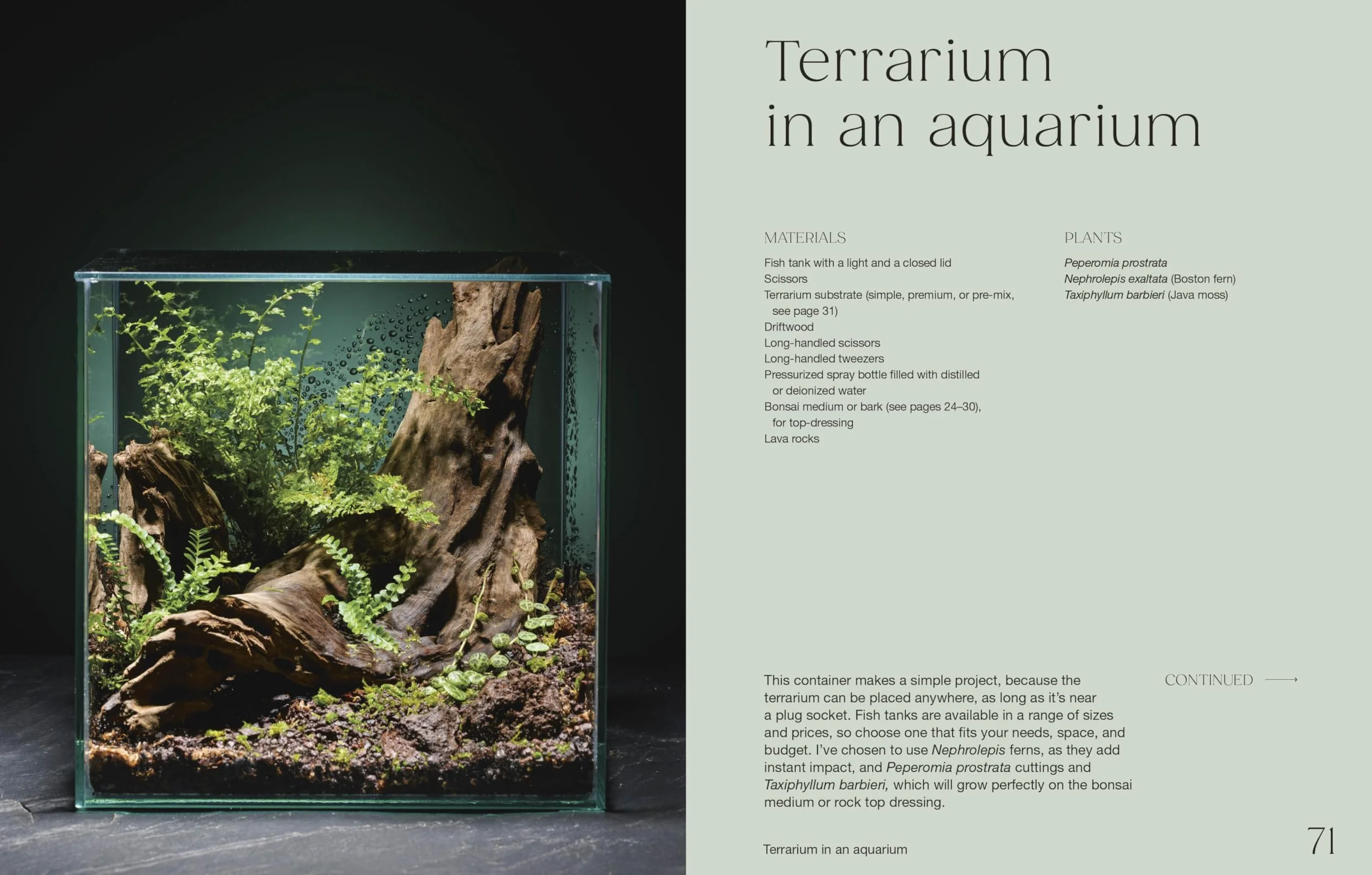 Hello Tiny World: An Enchanting Journey into the World of Creating Terrariums