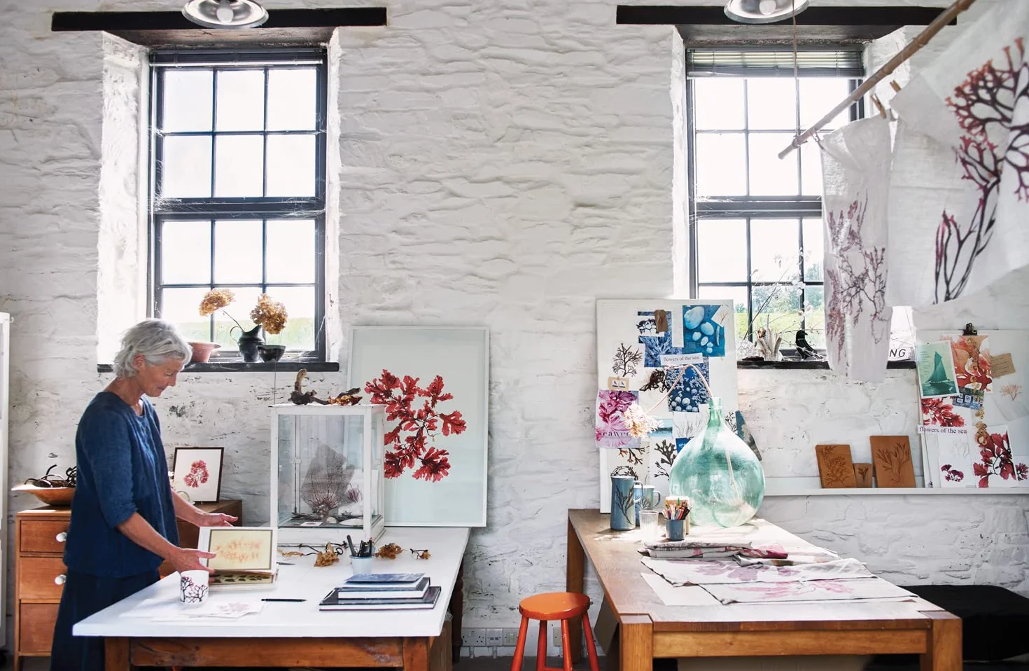 Seaweed: The sustainable guide to our oceans, with crafts, foraging, collecting and pressing