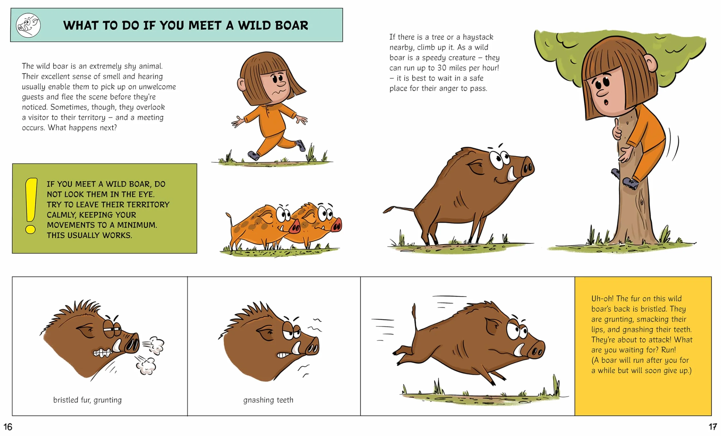 What to Do If You Meet a Bear?: A Nature Survival Guide
