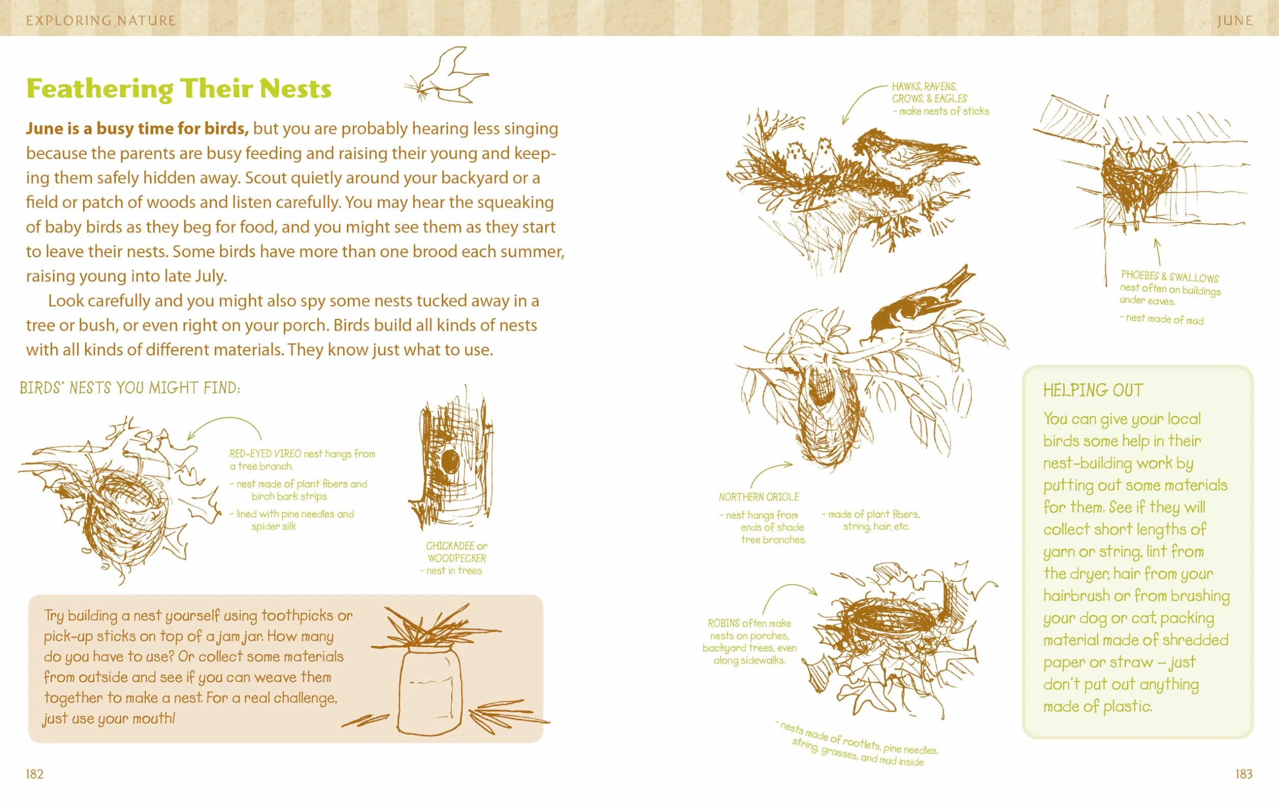 The Nature Connection: An Outdoor Workbook for Kids, Families, and Classrooms