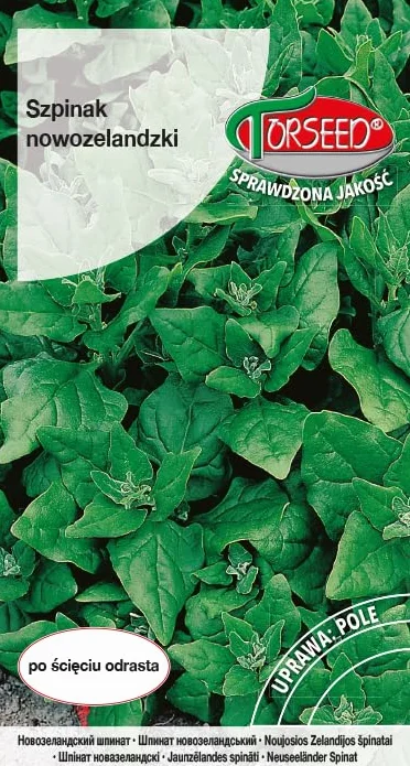 Mocne nasiona szpinaku nowozelandzkiego Tetragonia tetragonioides – pełzający wzrost, ciągłe zbiory, idealne do sałatek i gotowania, przyjazne dla środowiska, dobrze rośnie w pełnym słońcu (5