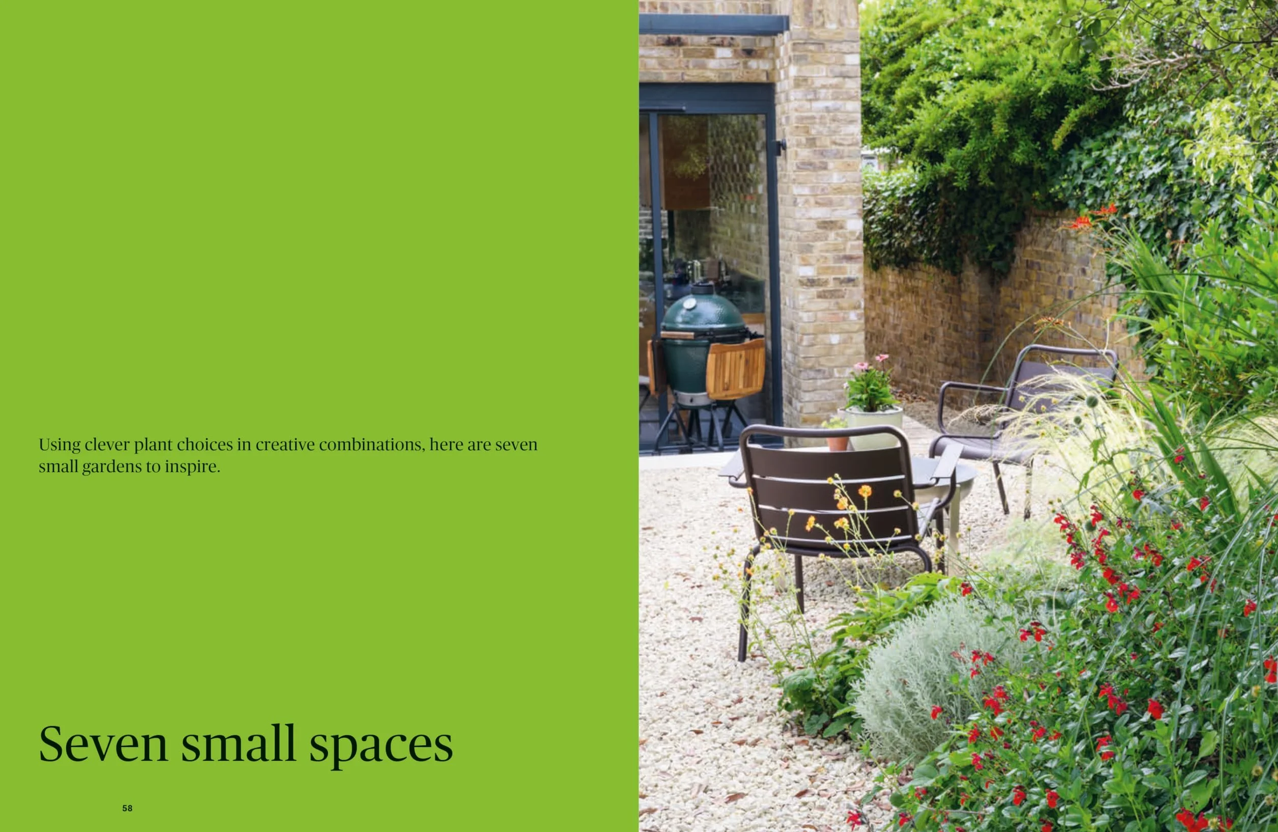 Colour in the Garden: Stylish Ideas for Year-Round Colour