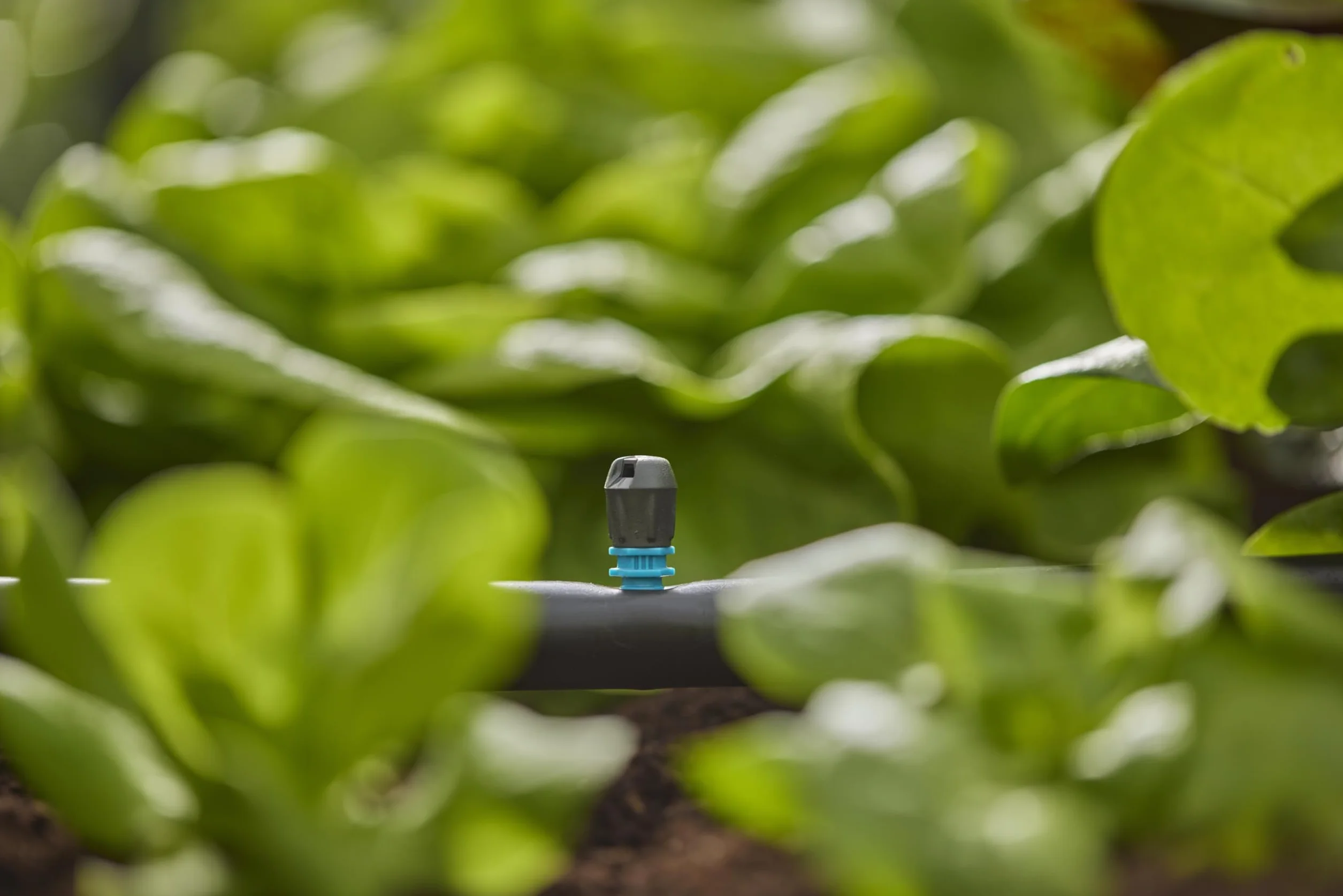 Gardena system Micro-Drip dysza końcowa pasmowa: Dysza rozpylająca do systemu nawadniania, do wąskich podłużnych powierzchni maks. 0,6 x 2,75 m, prosta technika połączeniowa (13318-20)