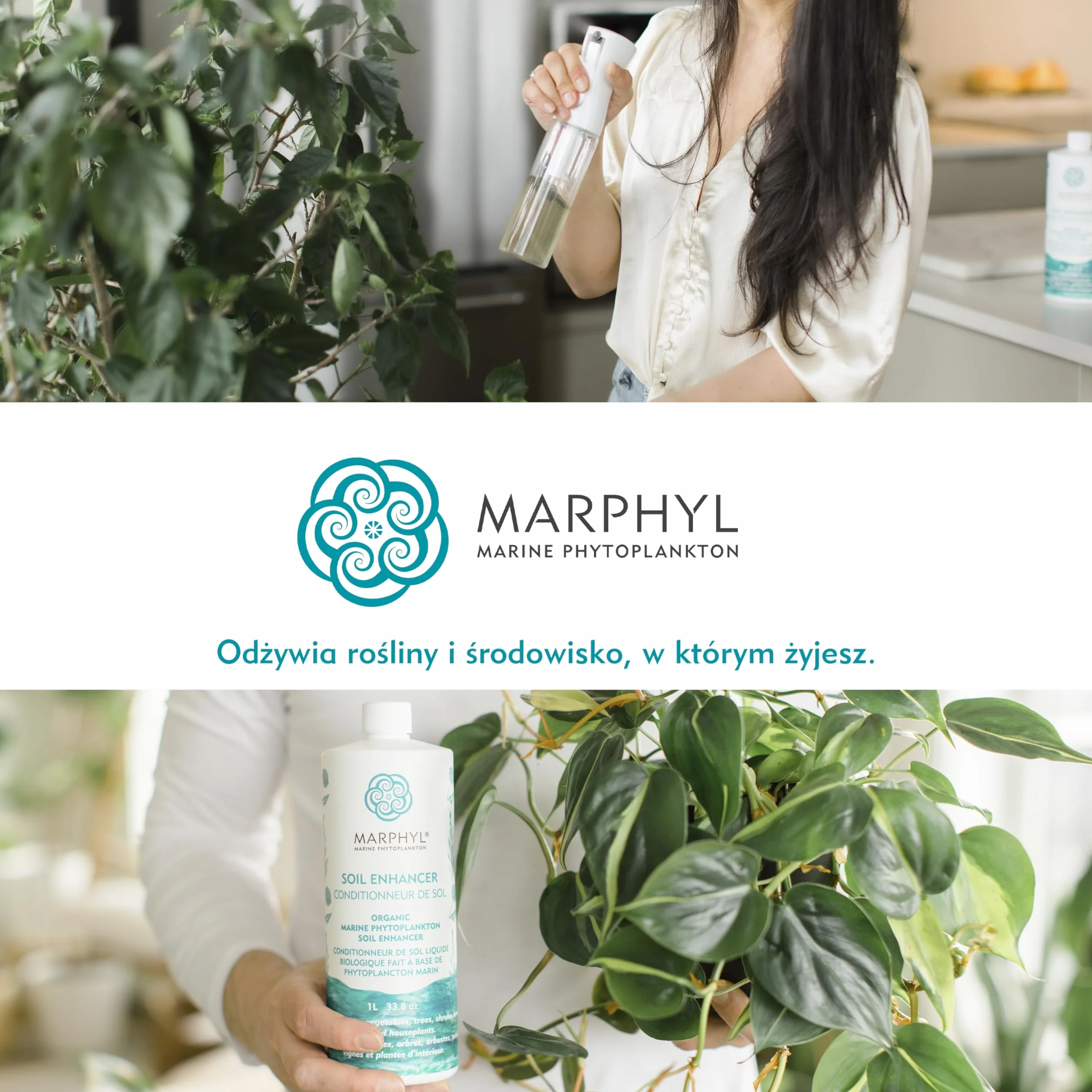 MARPHYL