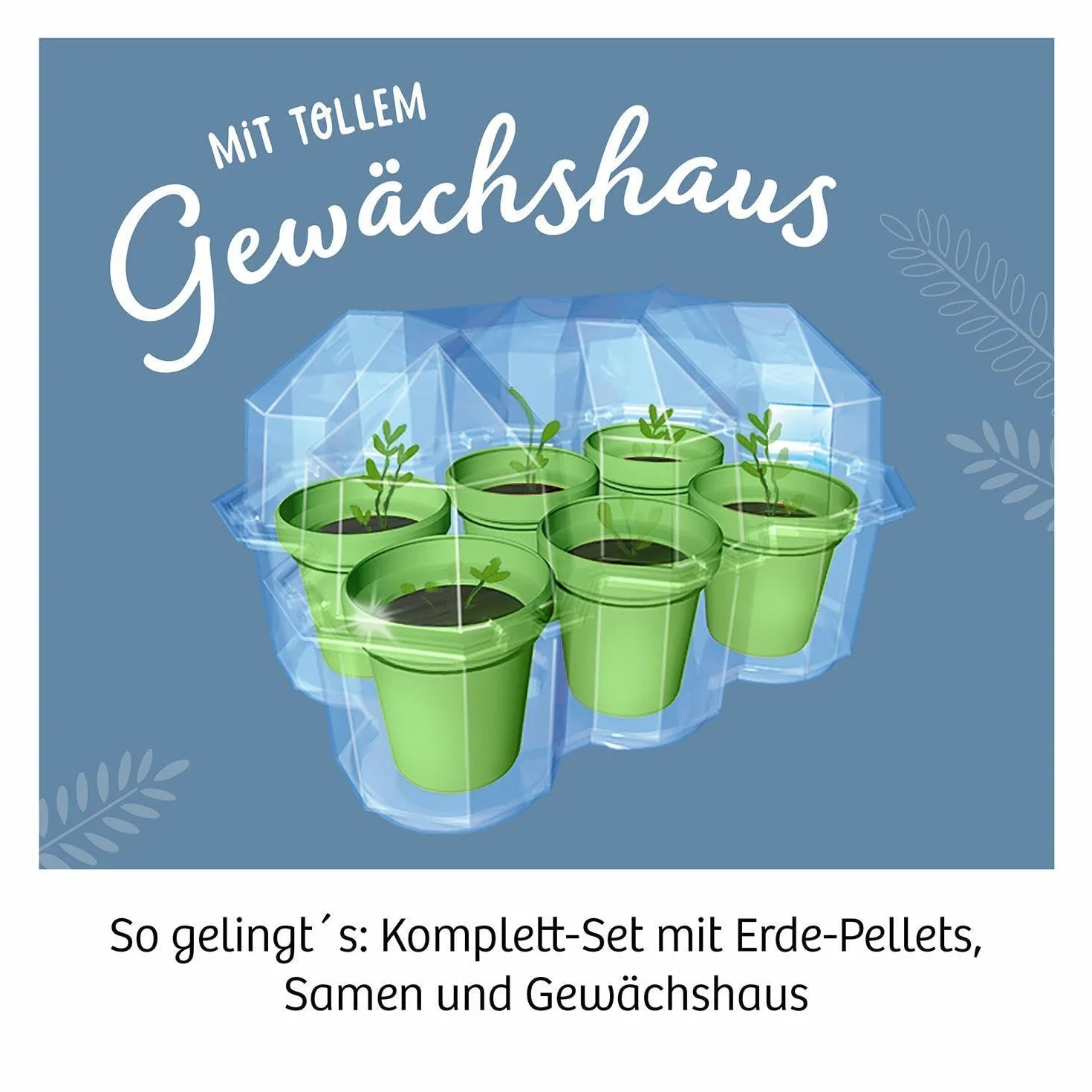 Mimosen-Garten: Experimentierkasten