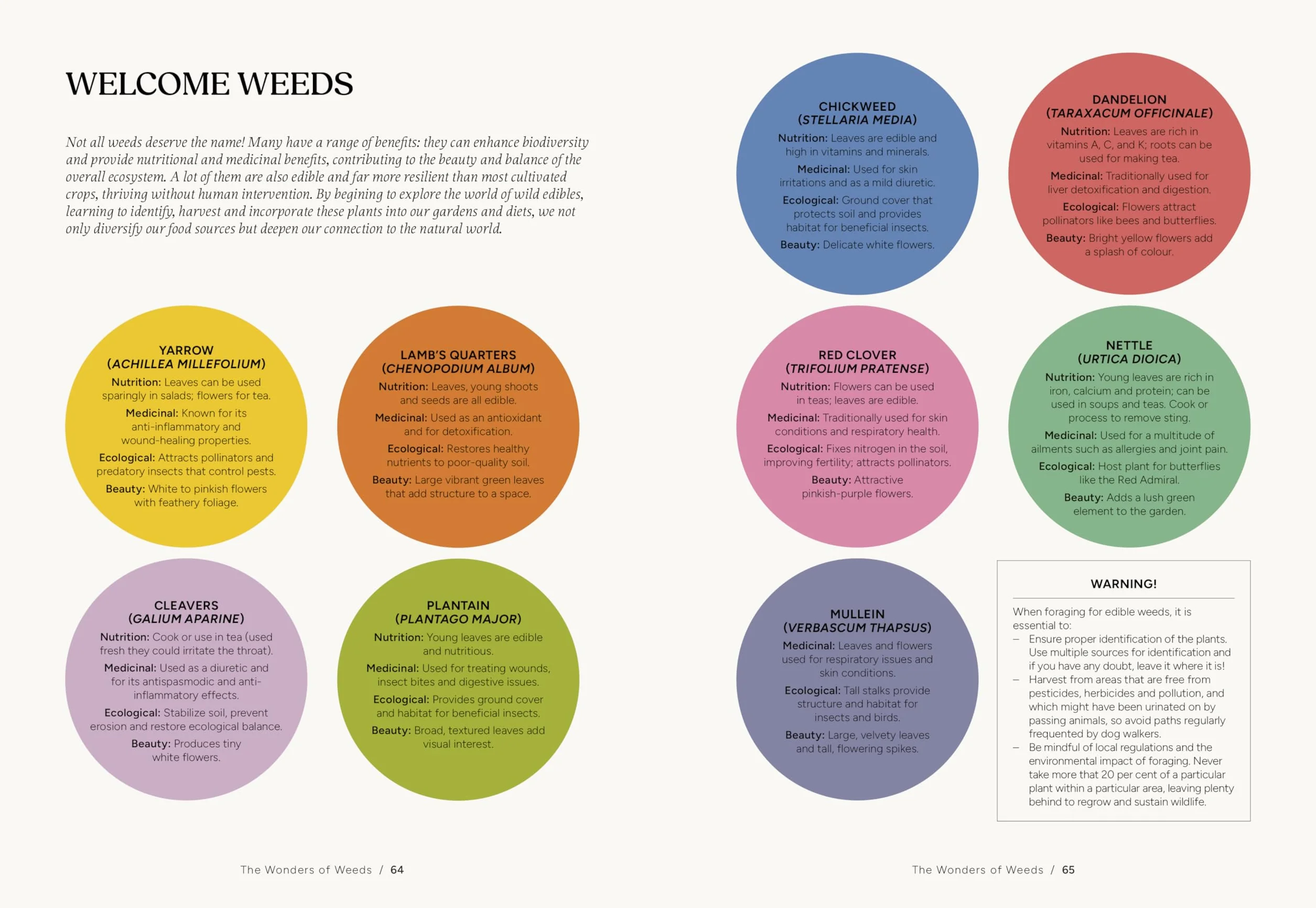 Nettles & Petals: Grow Food. Eat Weeds. Save Seeds. the Sunday Times Bestseller