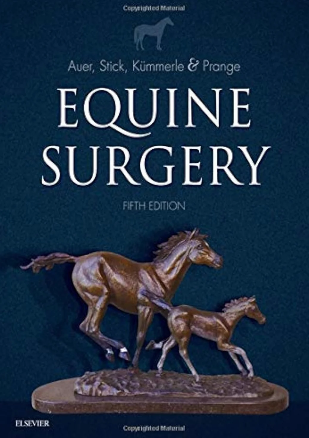 Equine Surgery