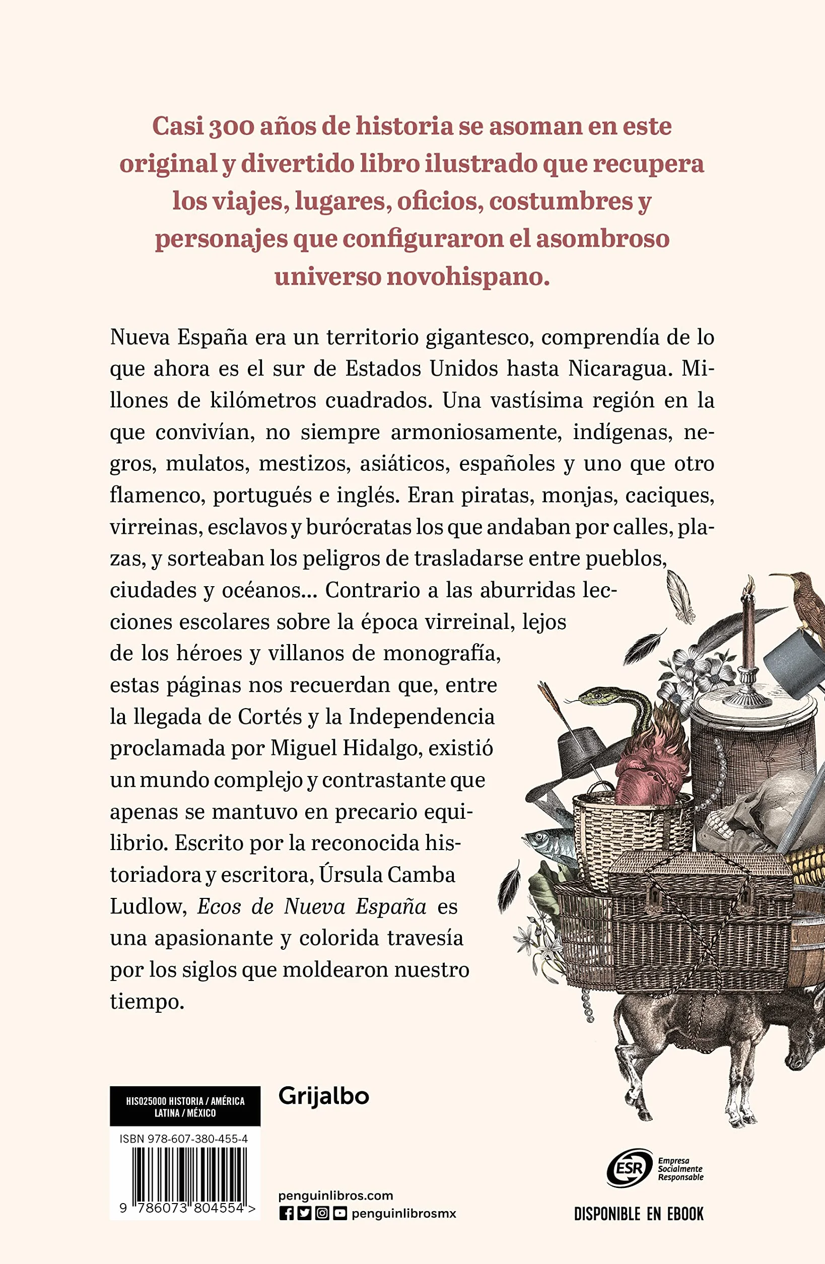 Ecos de Nueva España. Los siglos perdidos en la historia de México / Echoes of t he New Spain: The Lost Centuries in Mexican History: Los Siglos ... The Lost Centuries in Mexican History
