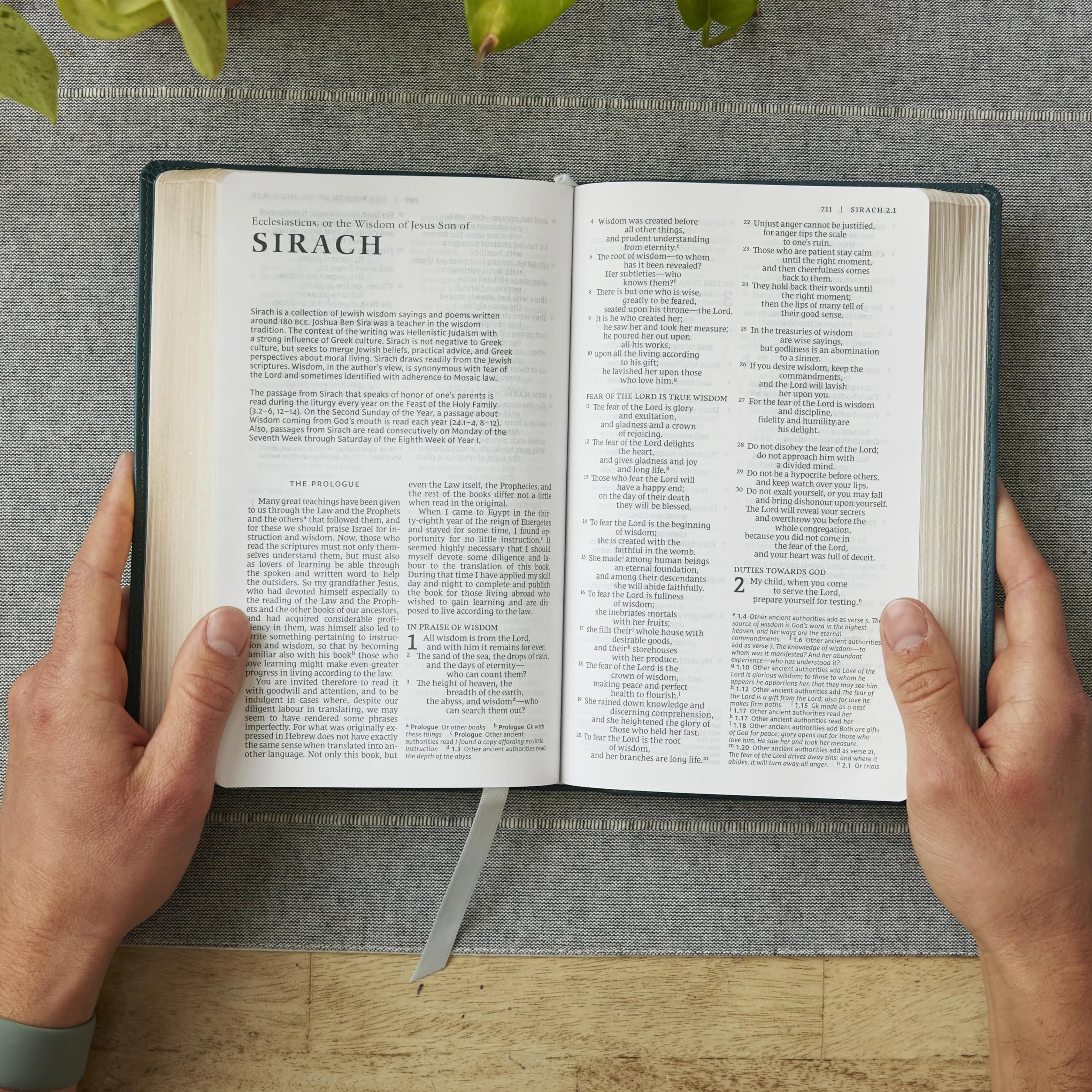 Nrsv, Catholic Bible, Gift Edition, Leathersoft, Teal, Comfort Print: Holy Bible