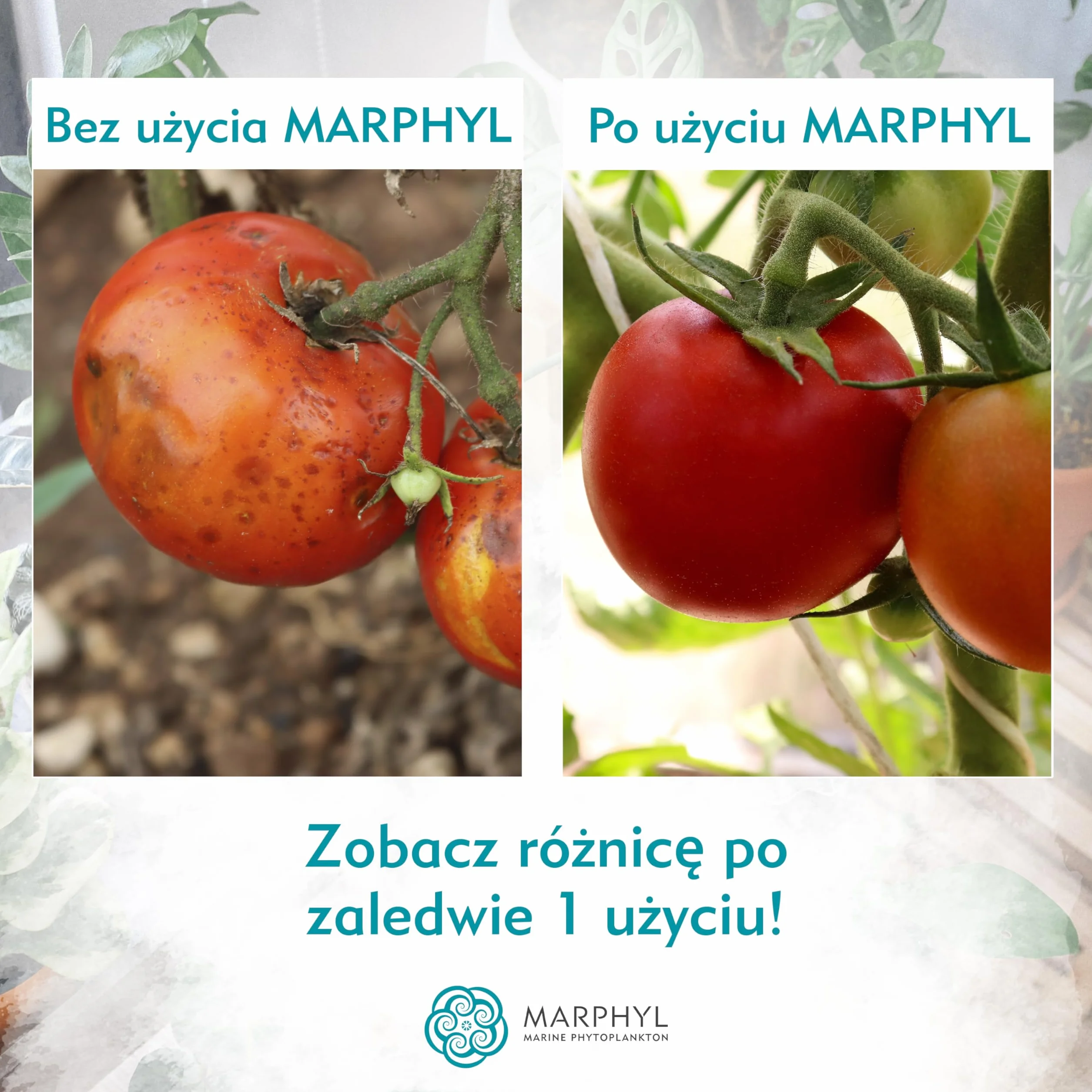 MARPHYL