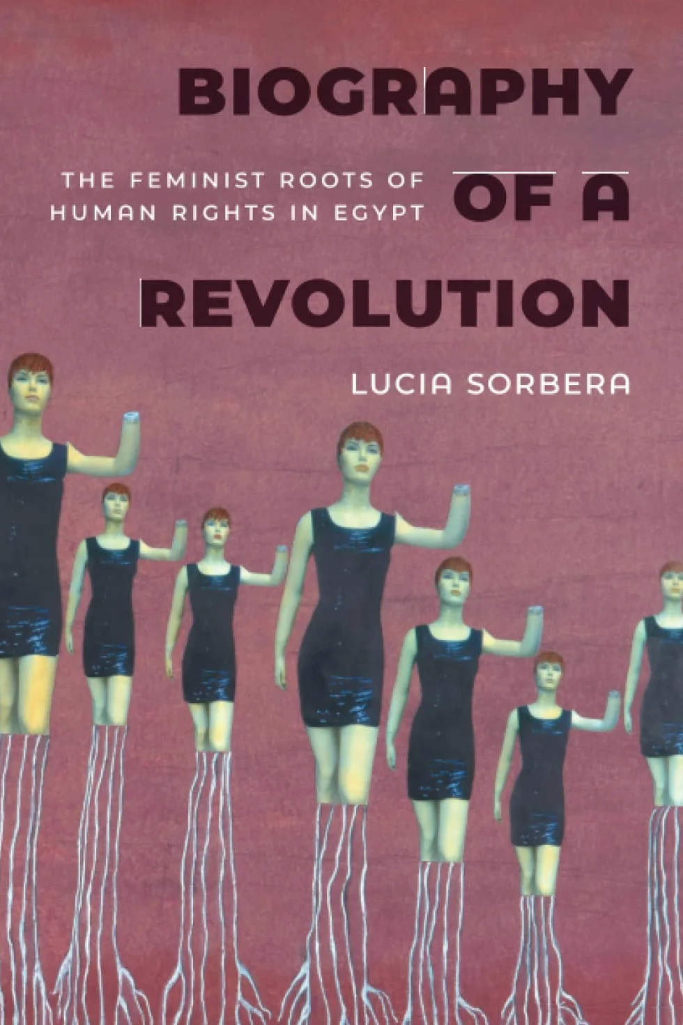Biography of a Revolution: The Feminist Roots of Human Rights in Egypt