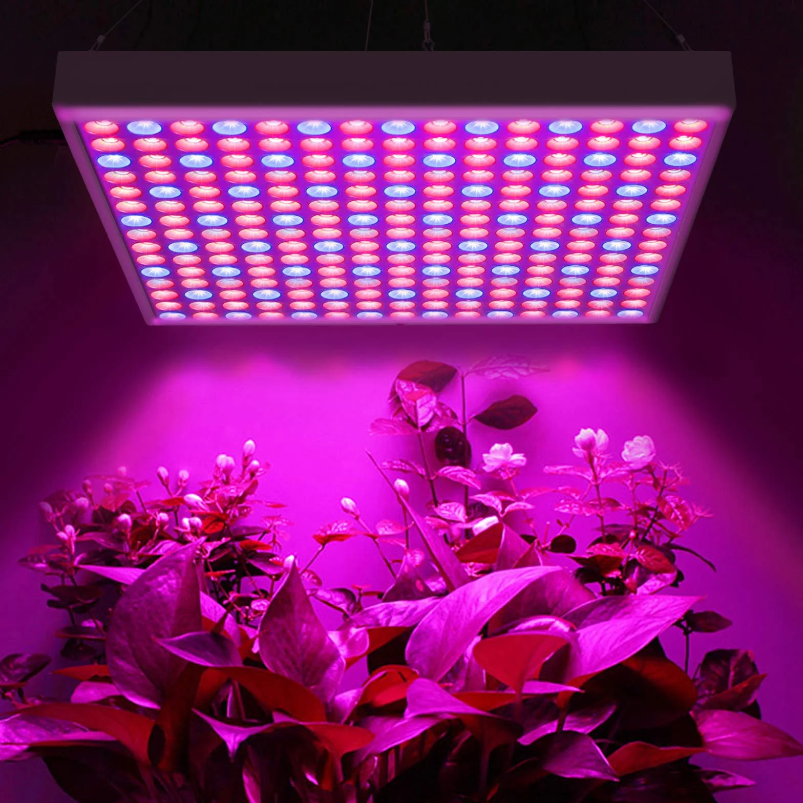 UISEBRT Lampa roślinna LED pełne spektrum 2x 45W - Lampa roślinna Lampa wzrostu Lampa do wzrostu 225 LED czerwone i niebieskie do roślin pokojowych, kwiatów i warzyw światło dzienne (2x 45W)