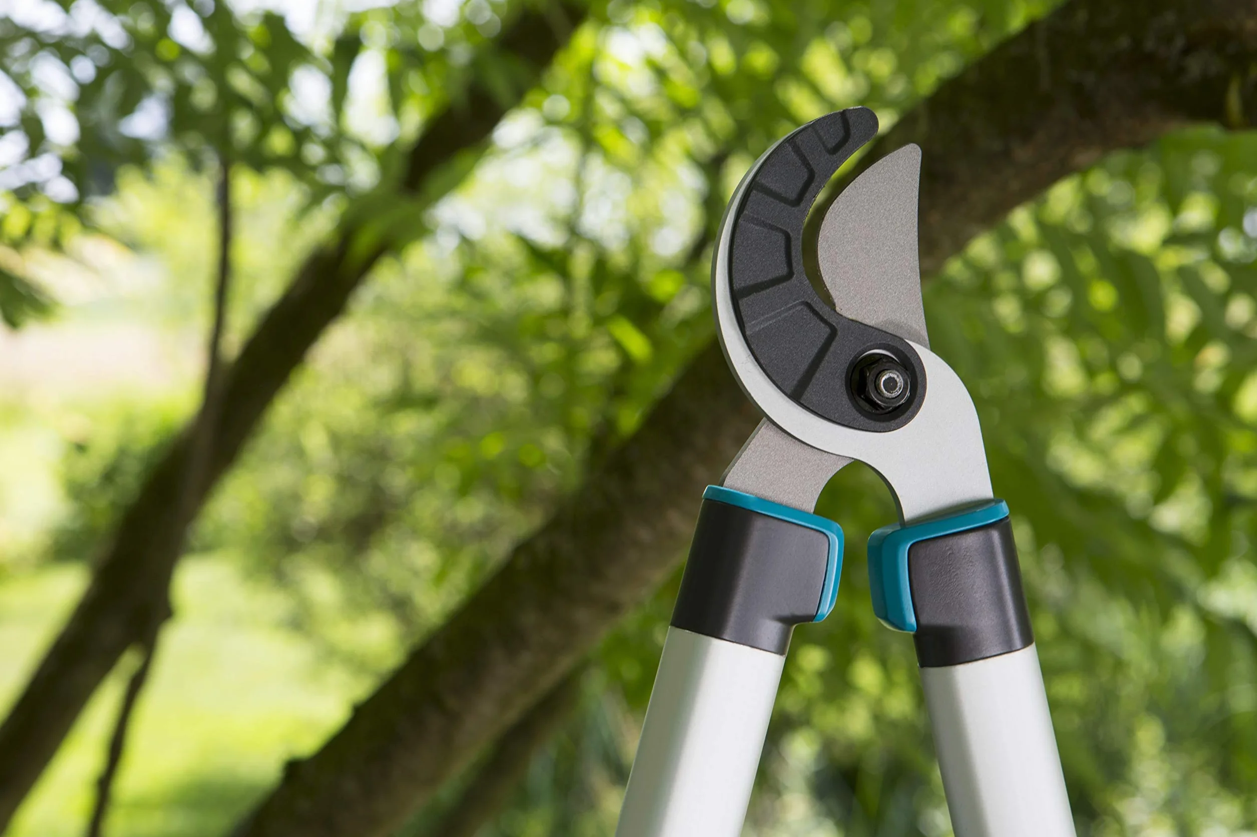 Gardena nożyce do gałęzi EasyCut 680 A: kowadłowe nożyce do gałęzi do cięcia twardego, suchego drewna, powłoka antyadhezyjna, uchwyt ErgoTec (12004-20)