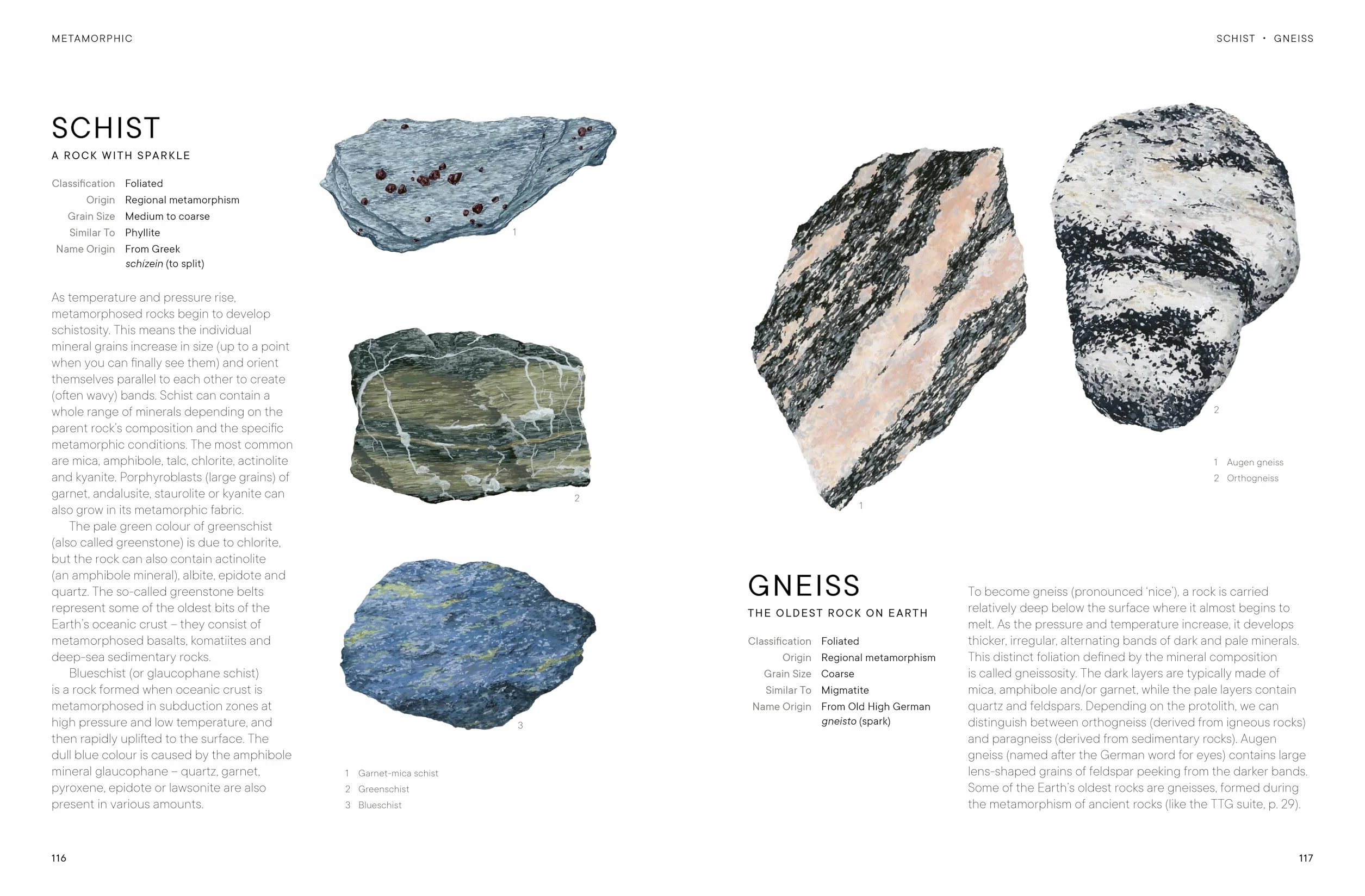 Rocks: A Guide to the Stones Around Us and the Stories They Tell