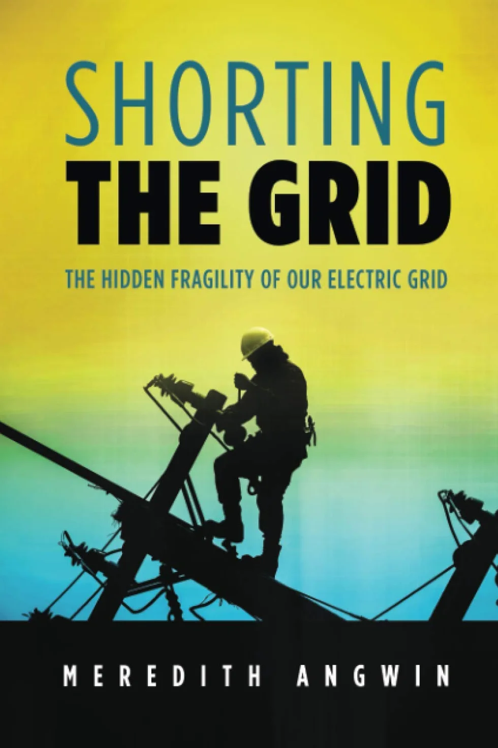 Shorting the Grid: The Hidden Fragility of Our Electric Grid